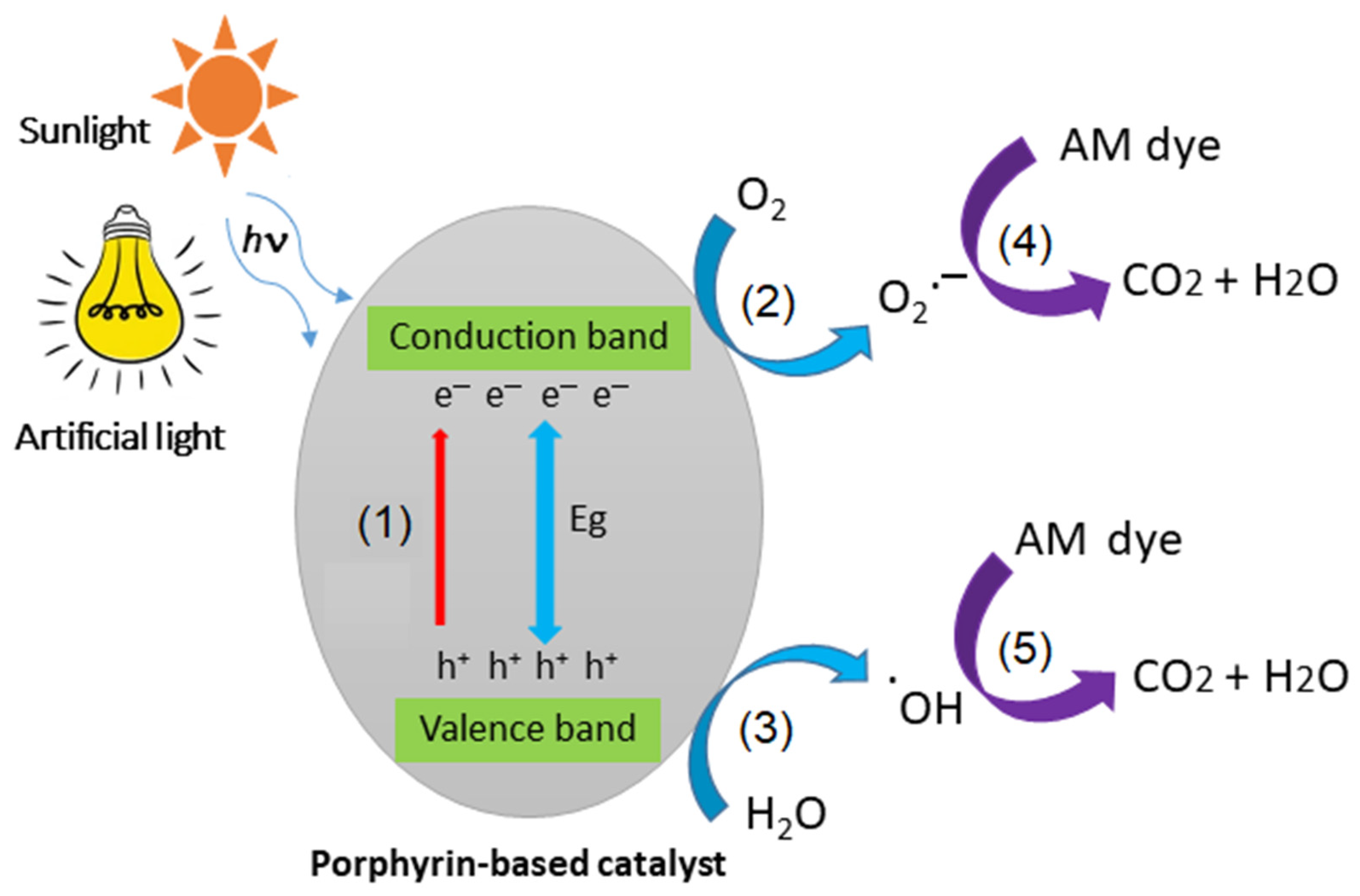Nanomaterials 15 00059 g008