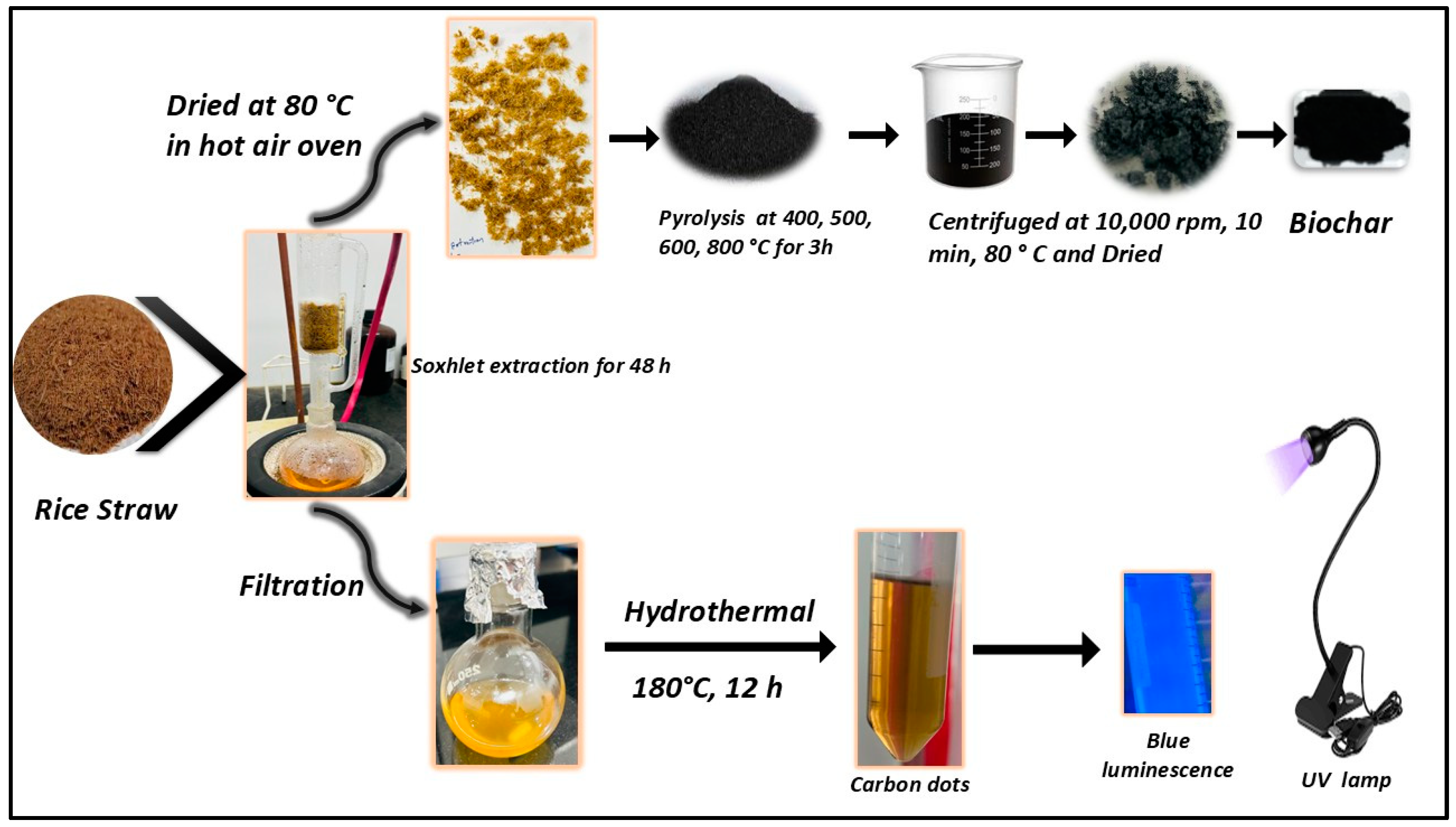 Nanomaterials 15 00066 g001