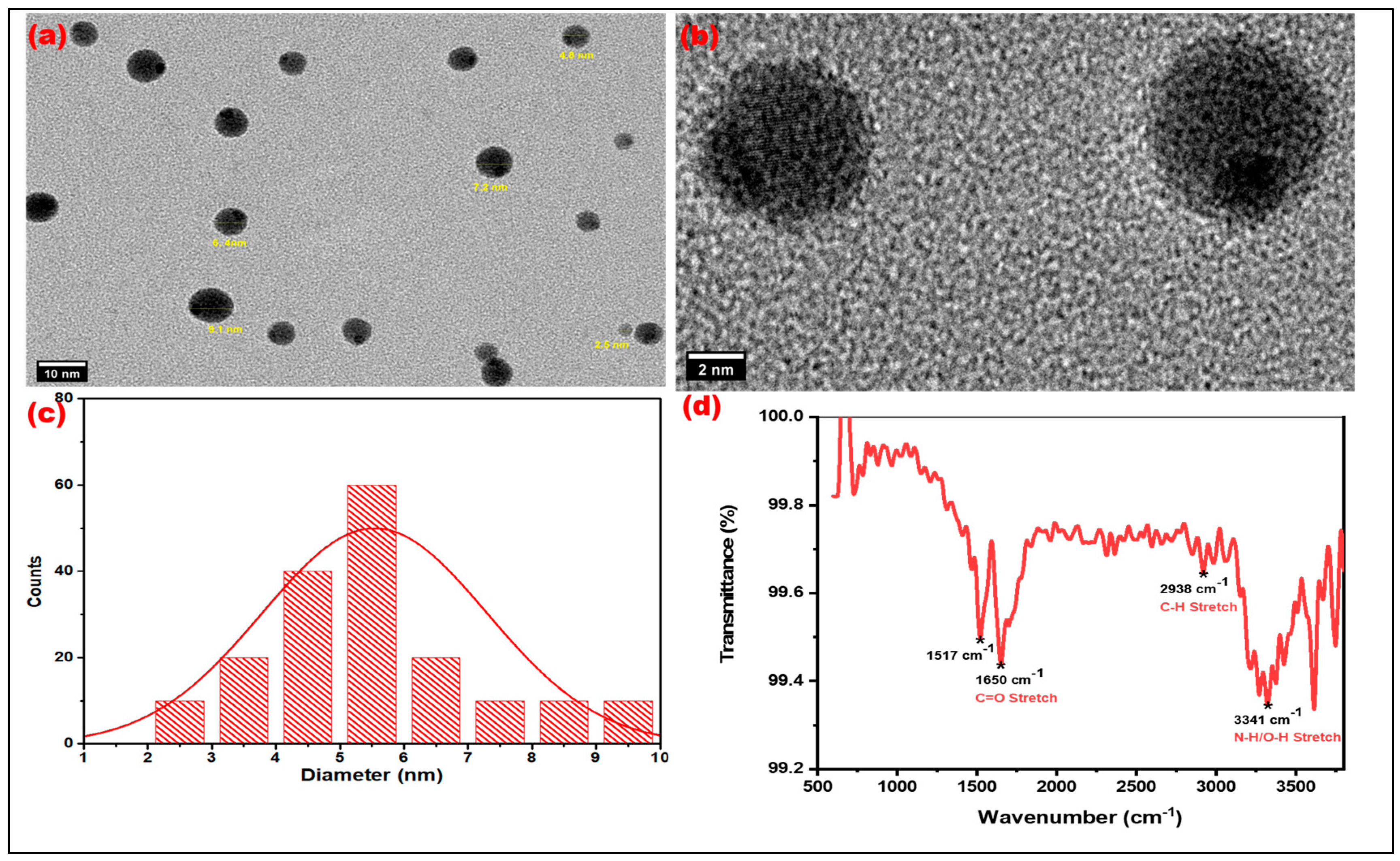 Nanomaterials 15 00066 g004