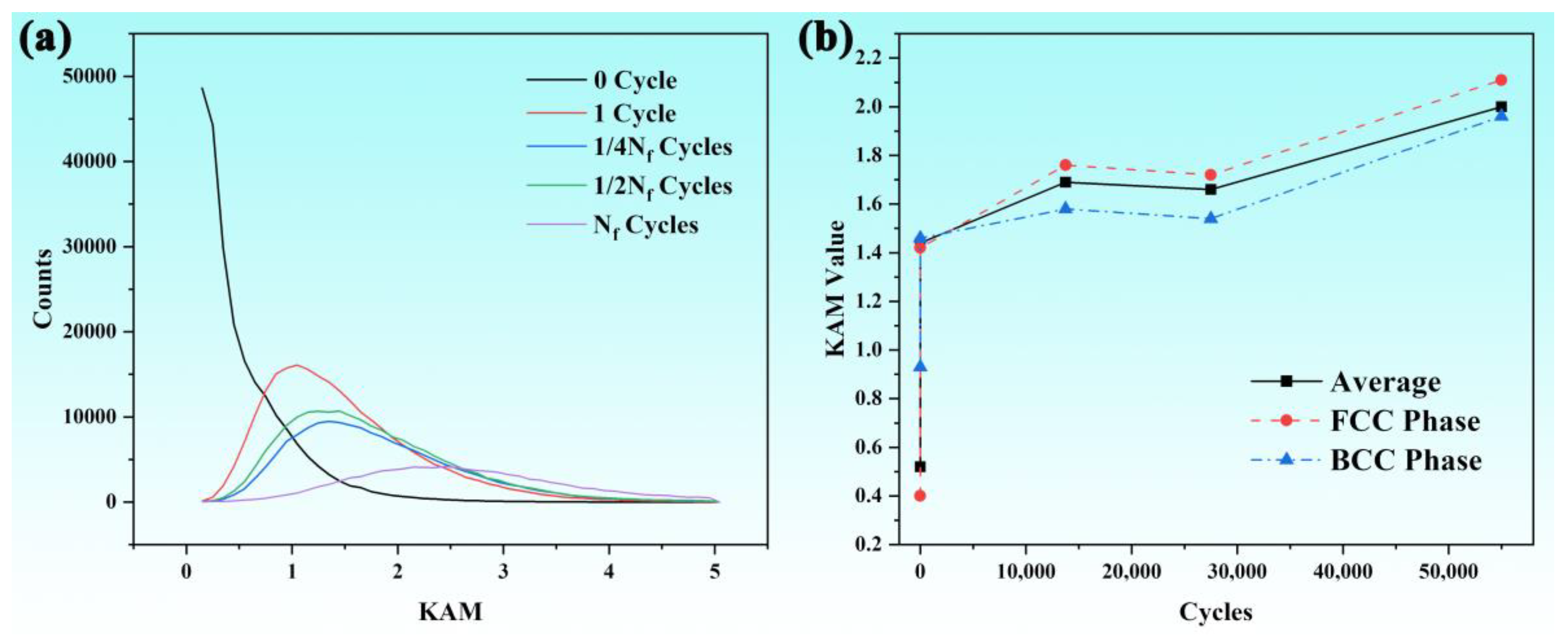 Nanomaterials 15 00071 g006
