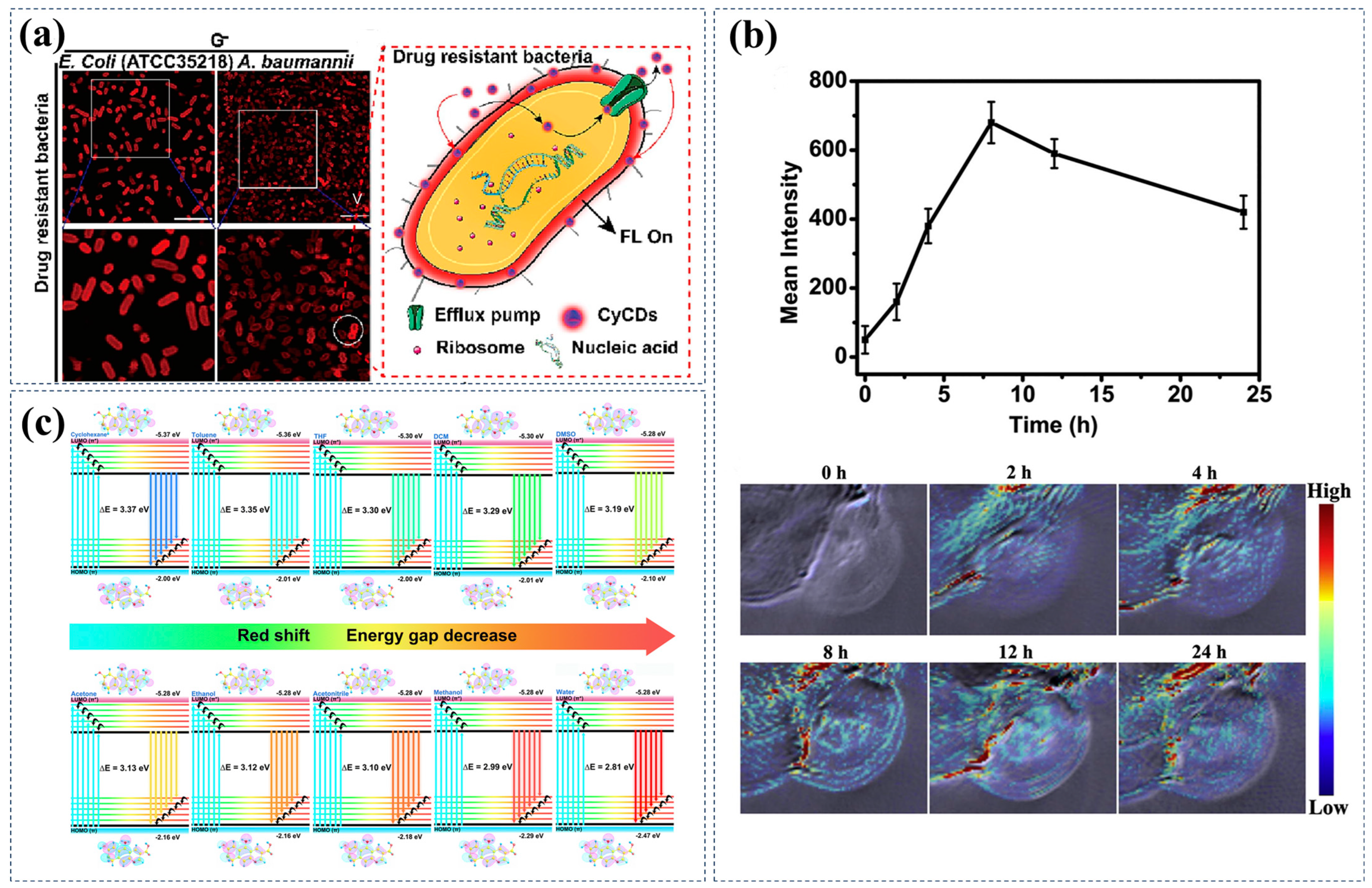 Nanomaterials 15 00081 g010
