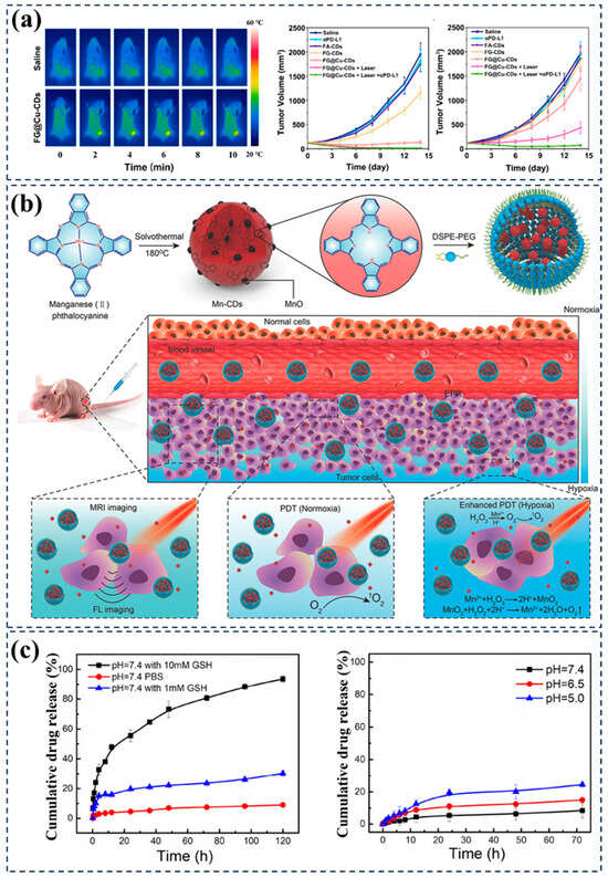 Nanomaterials 15 00081 g011
