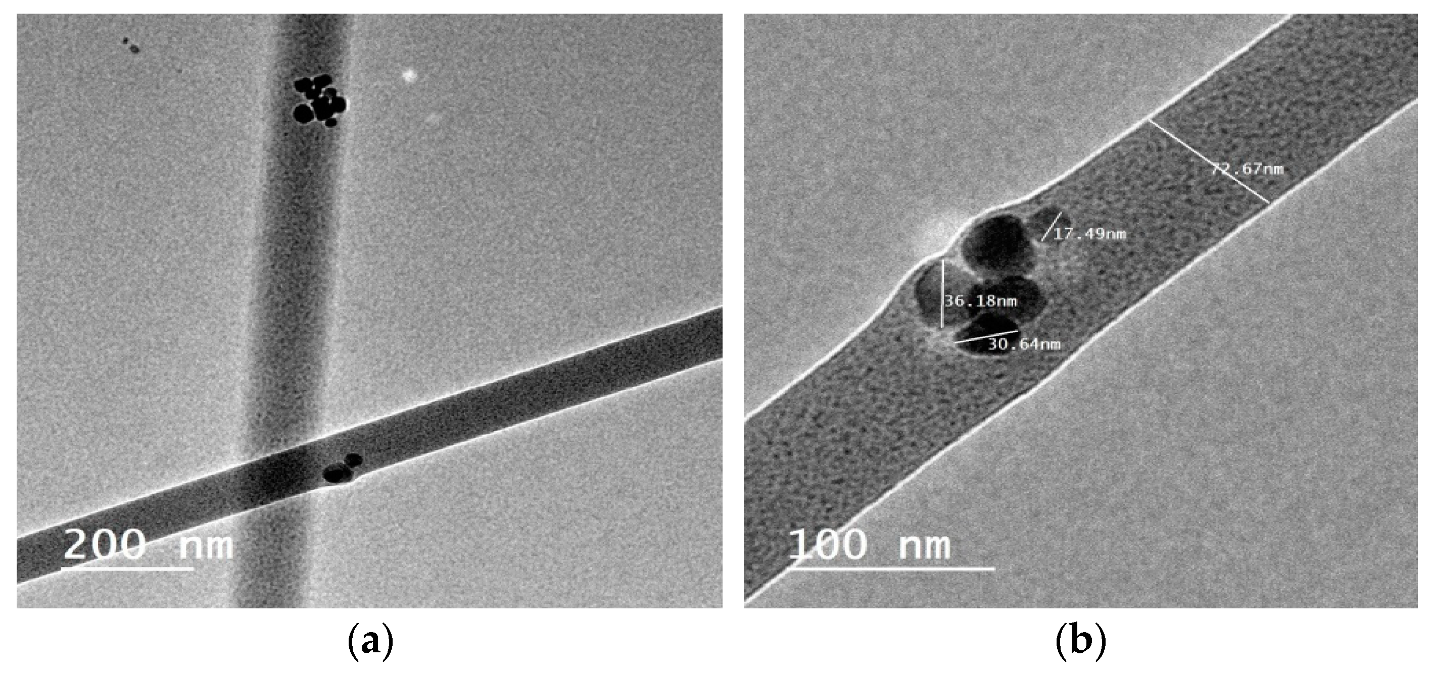 Nanomaterials 15 00082 g006 Nanomaterials 15 00082 g006