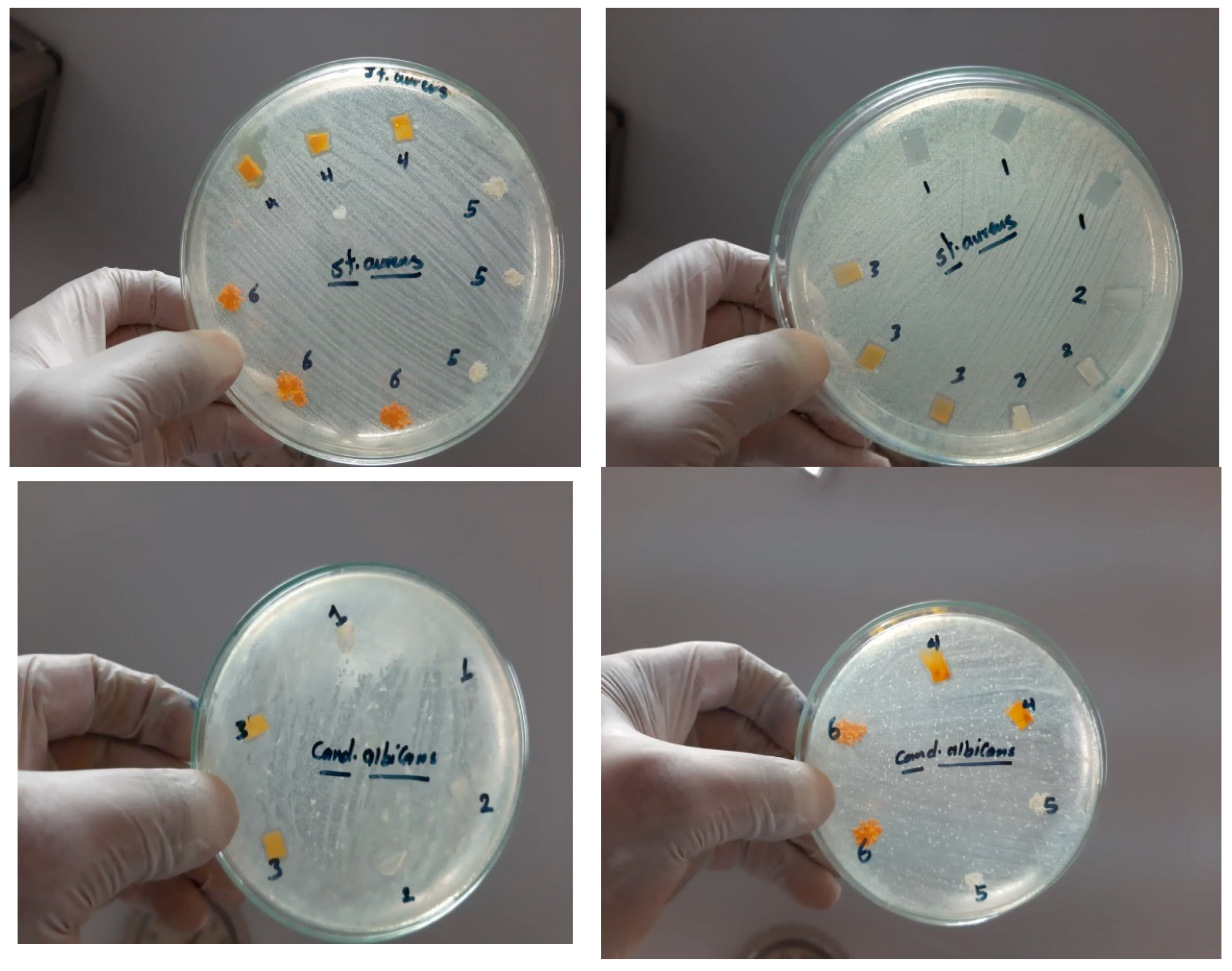 Nanomaterials 15 00082 g009b Nanomaterials 15 00082 g009b