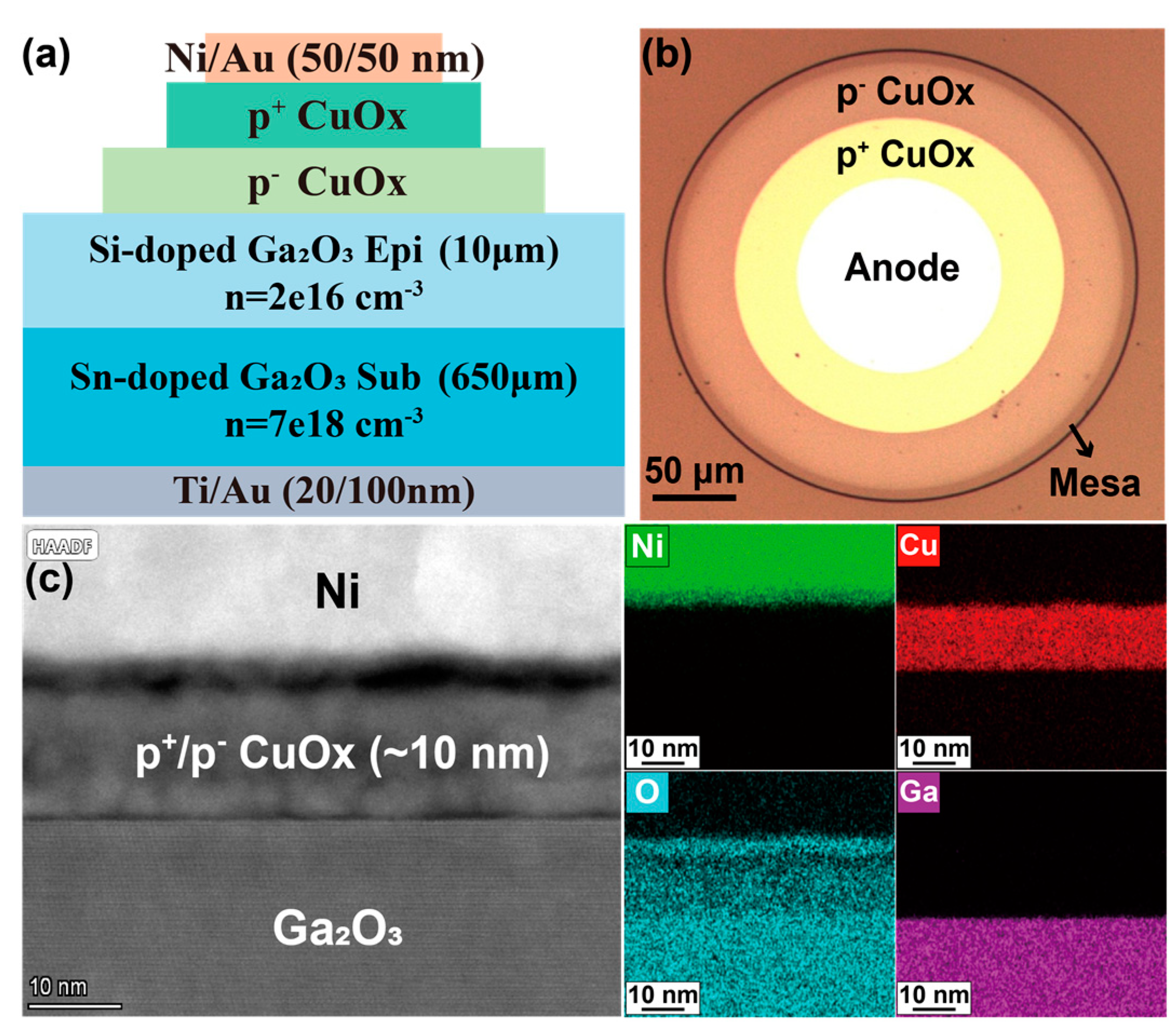 Nanomaterials 15 00087 g006