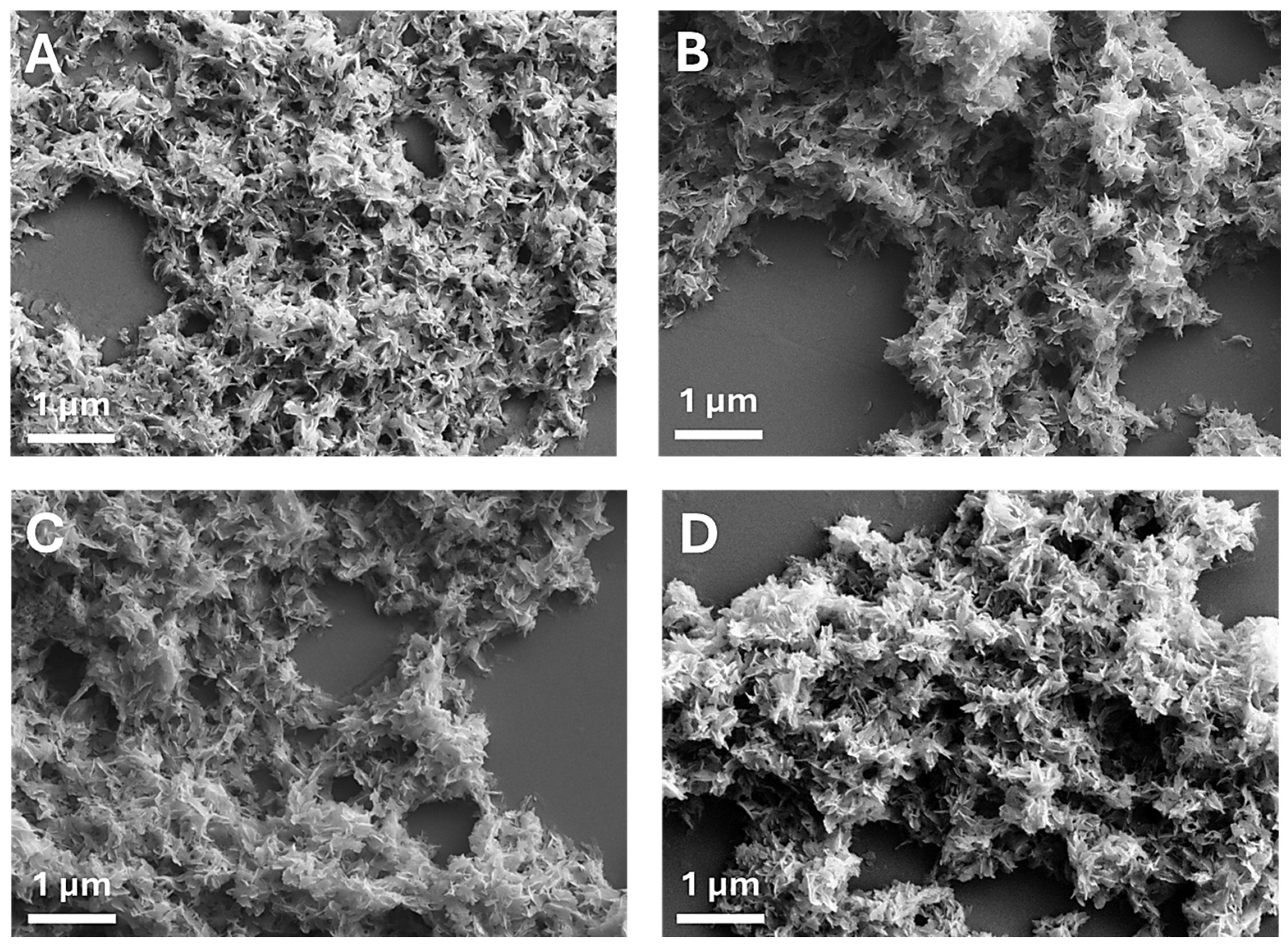 Nanomaterials 15 00094 g003 Nanomaterials 15 00094 g003