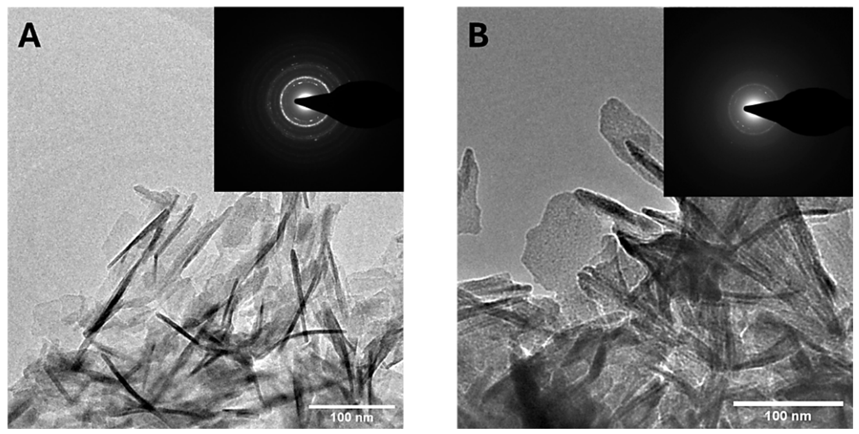 Nanomaterials 15 00094 g004 Nanomaterials 15 00094 g004