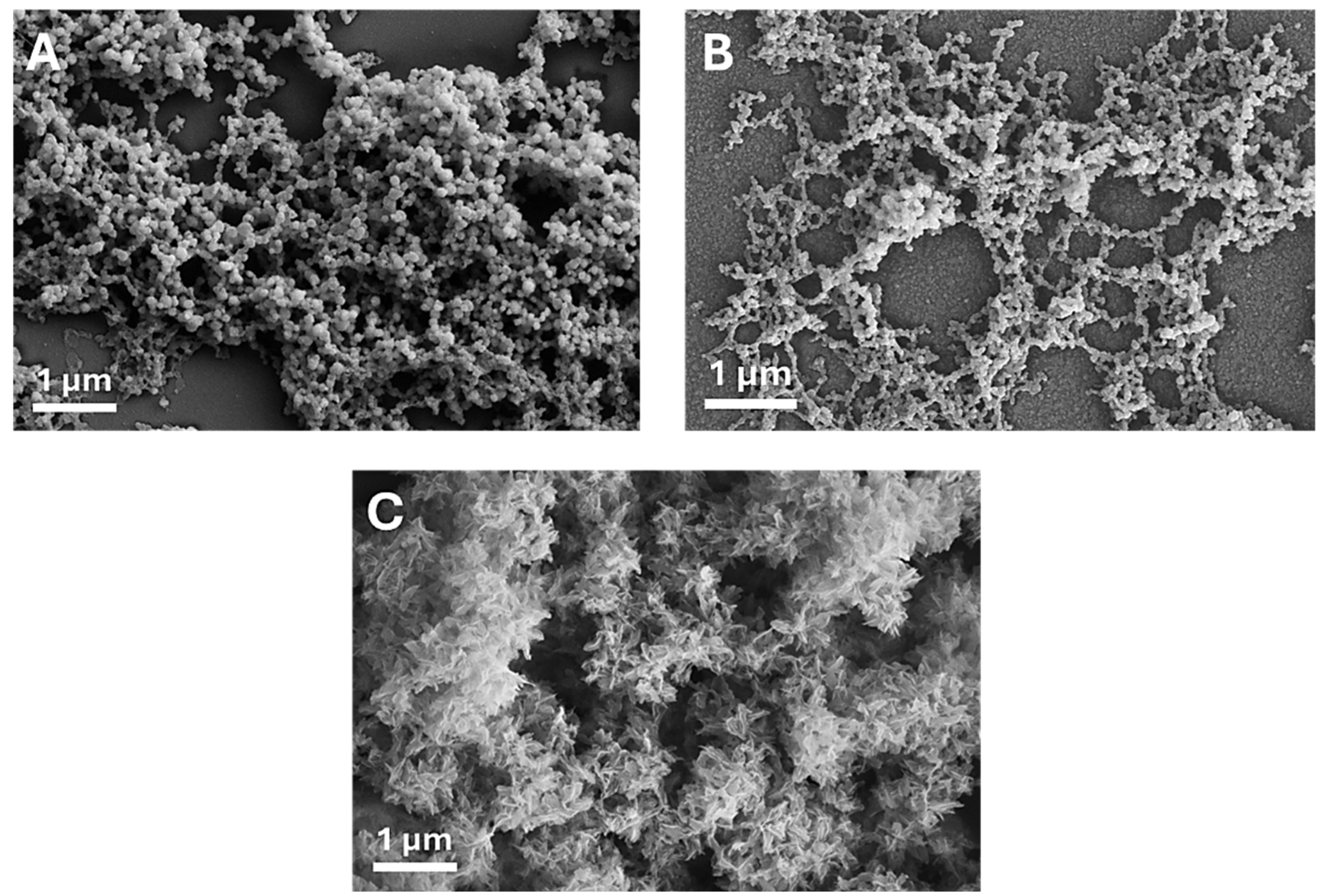 Nanomaterials 15 00094 g008 Nanomaterials 15 00094 g008