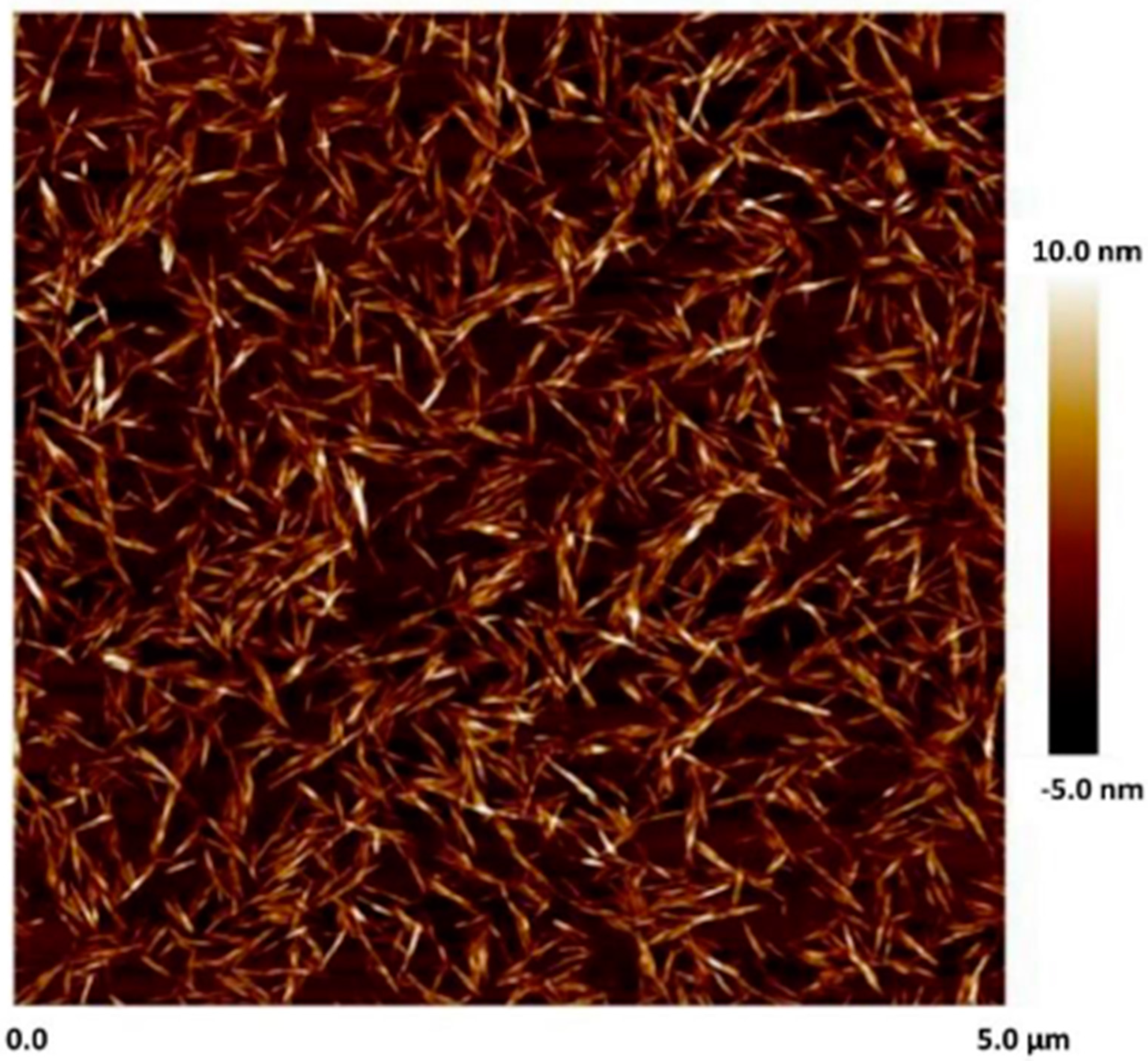 Nanomaterials 15 00095 g001