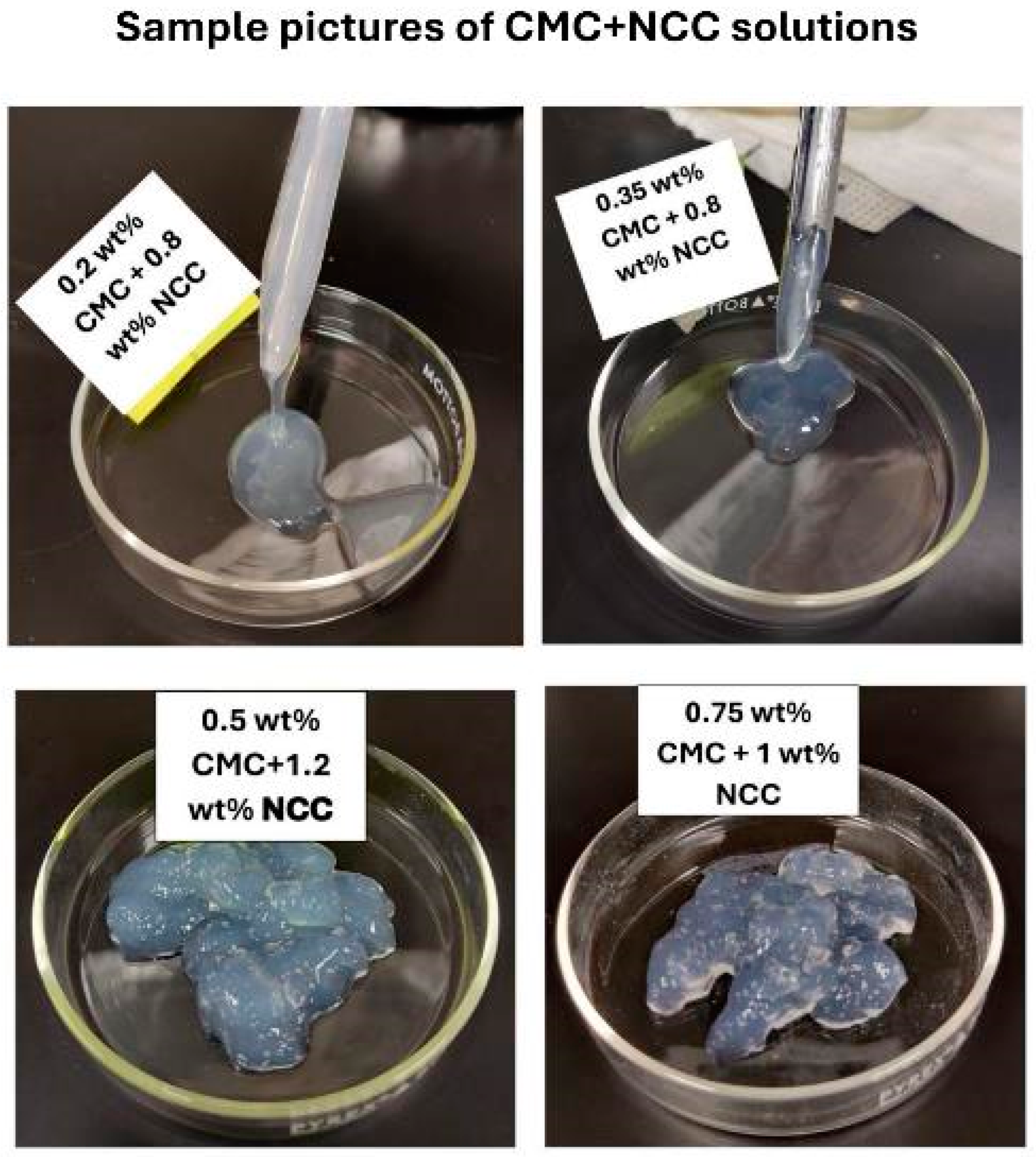 Nanomaterials 15 00095 g007