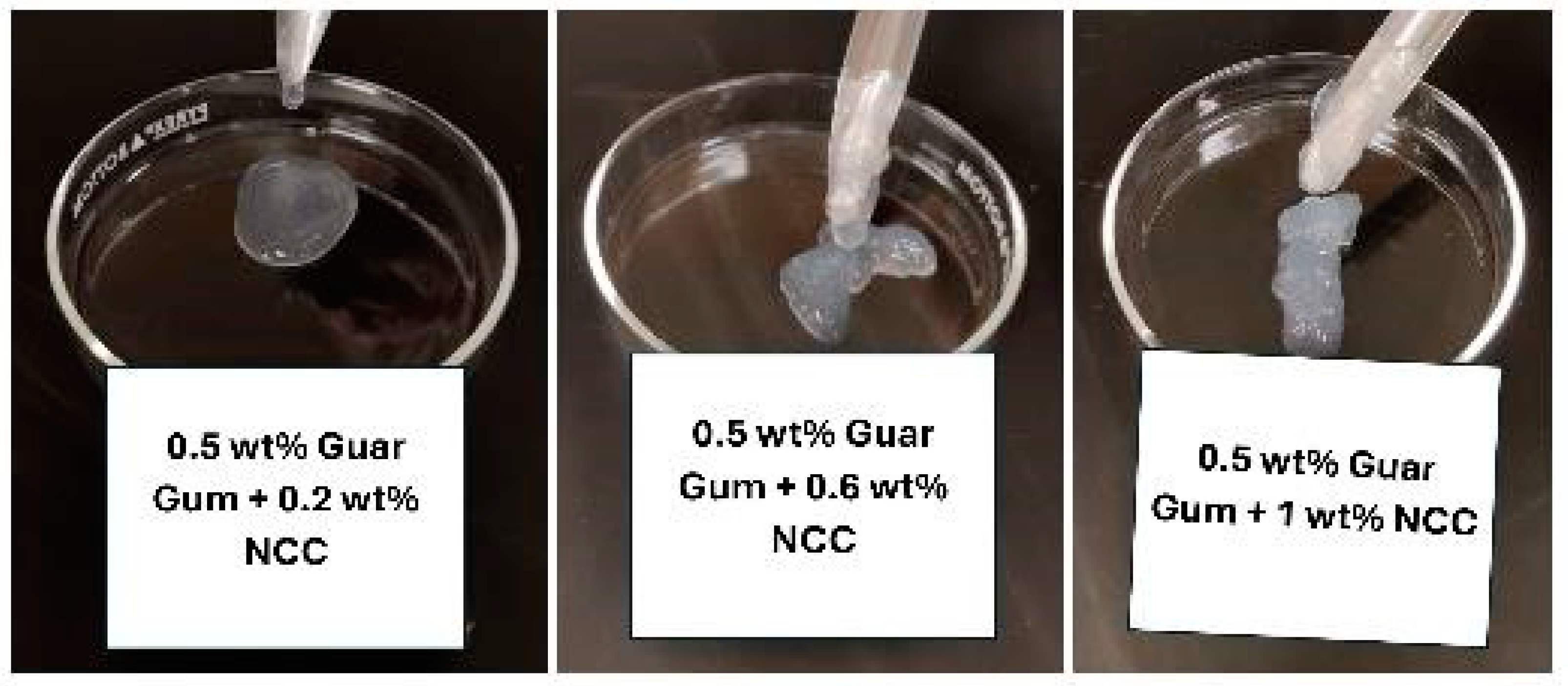 Nanomaterials 15 00095 g013