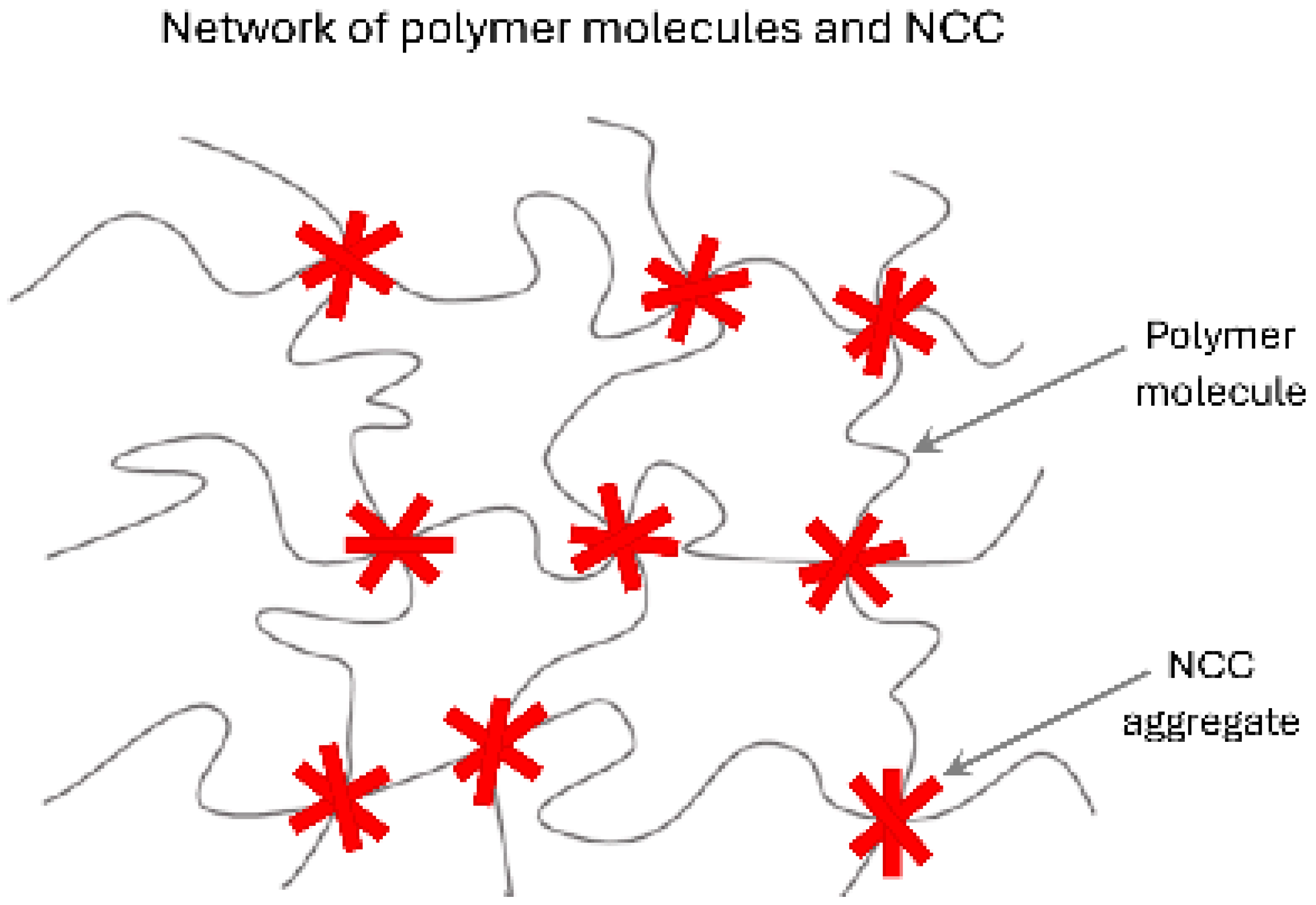 Nanomaterials 15 00095 g028