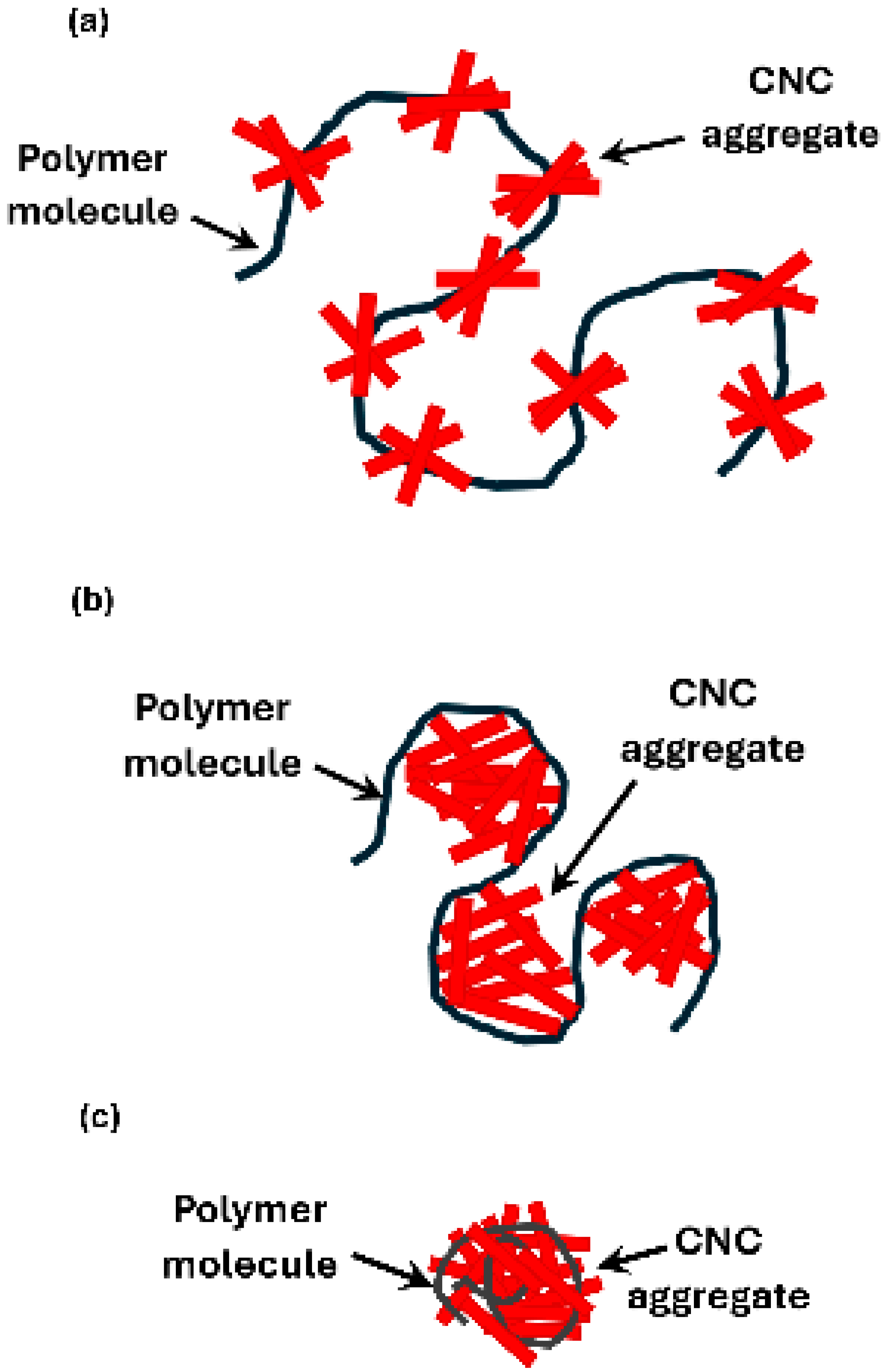 Nanomaterials 15 00095 g029