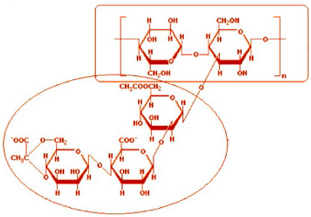 Nanomaterials 15 00095 i004