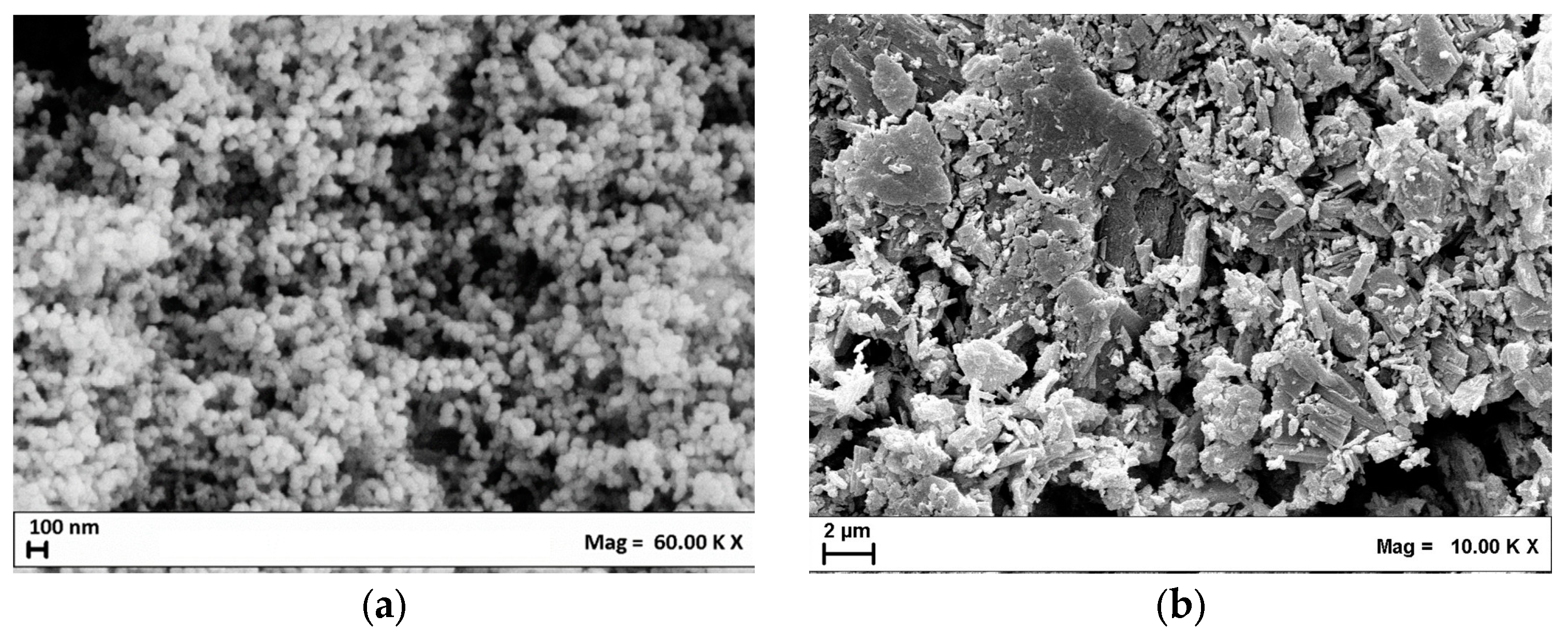 Nanomaterials 15 00102 g002