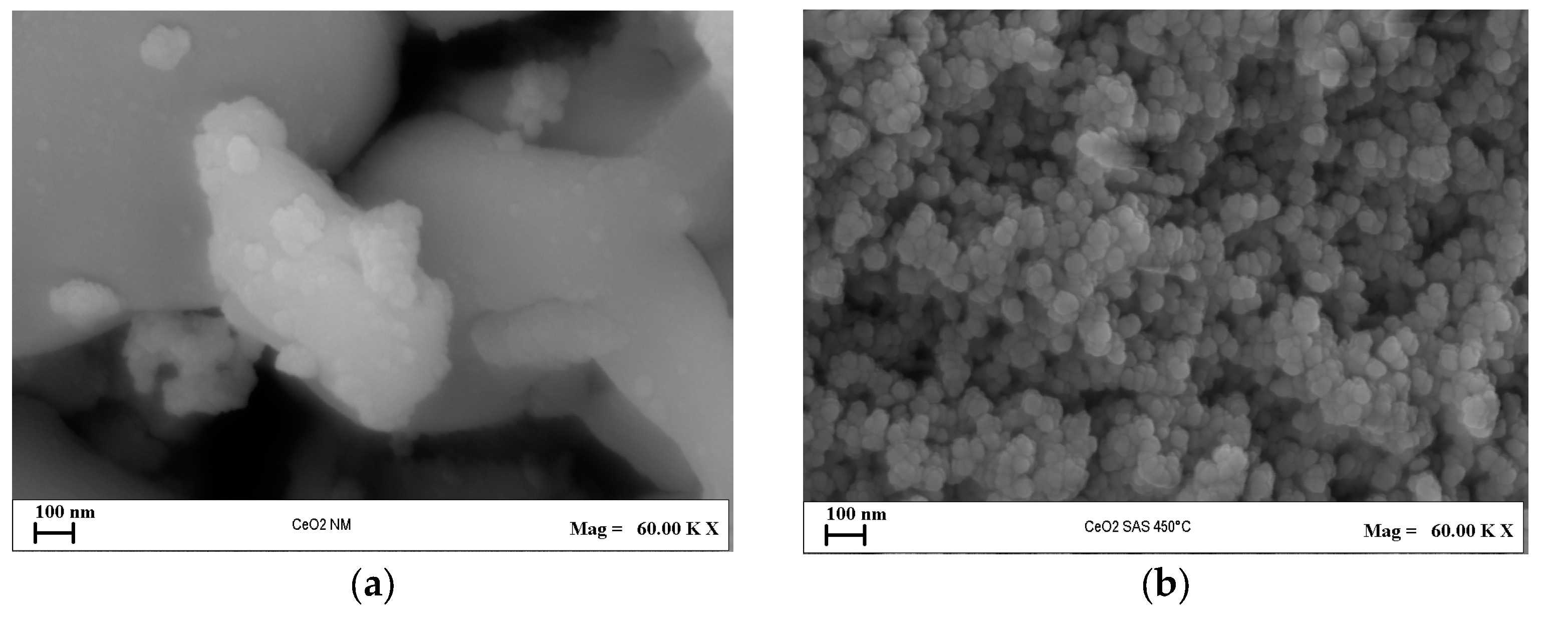 Nanomaterials 15 00102 g010
