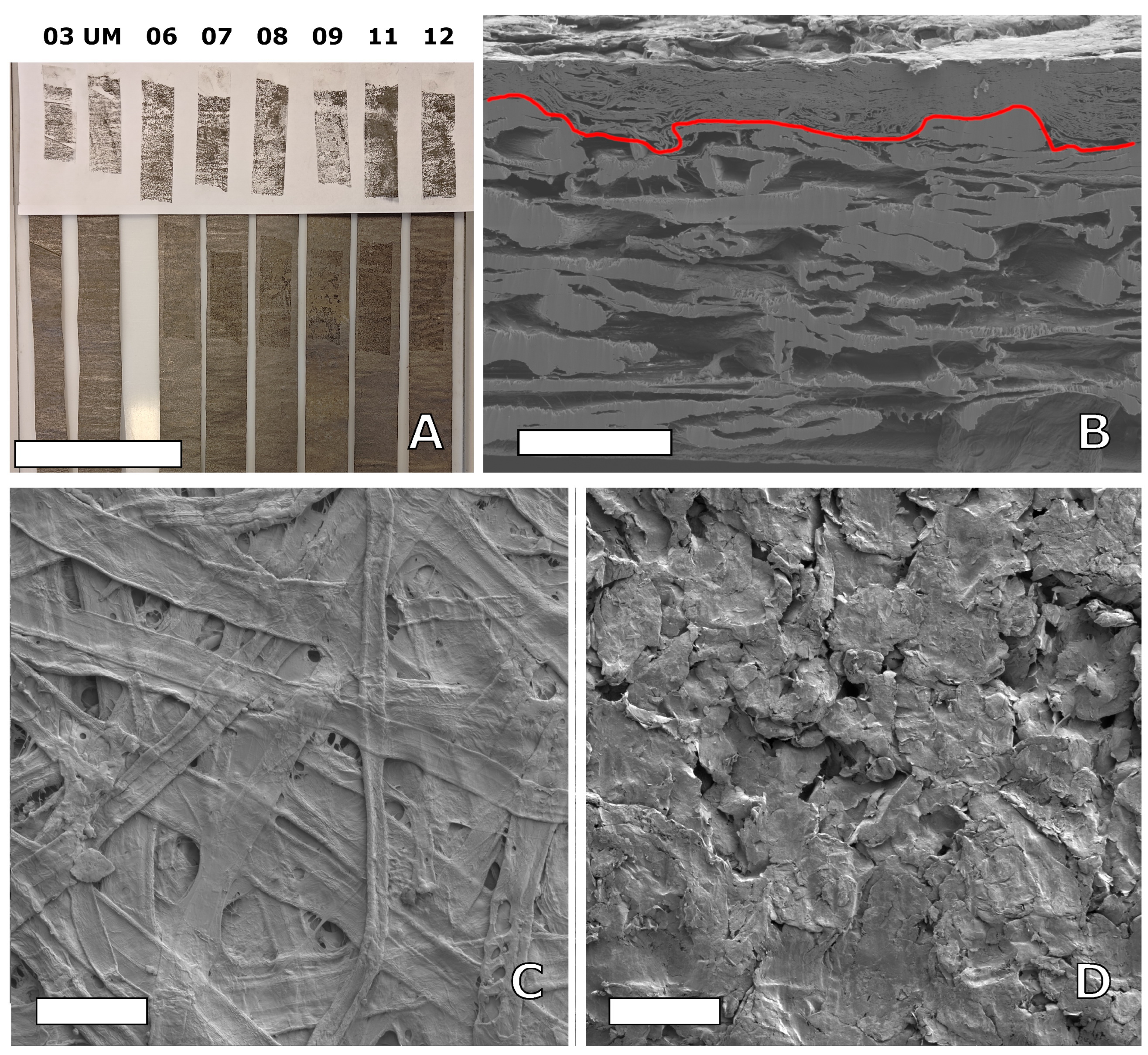 Nanomaterials 15 00113 g004