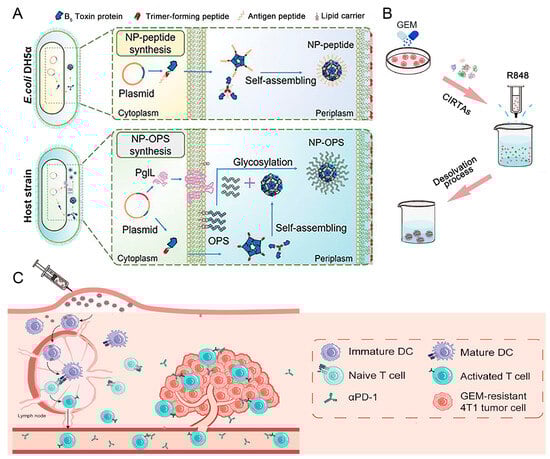 Nanomaterials 15 00122 g001