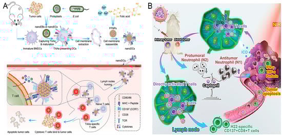 Nanomaterials 15 00122 g002