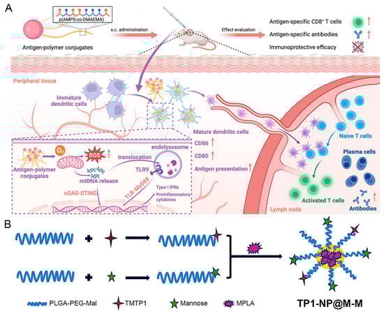 Nanomaterials 15 00122 g003