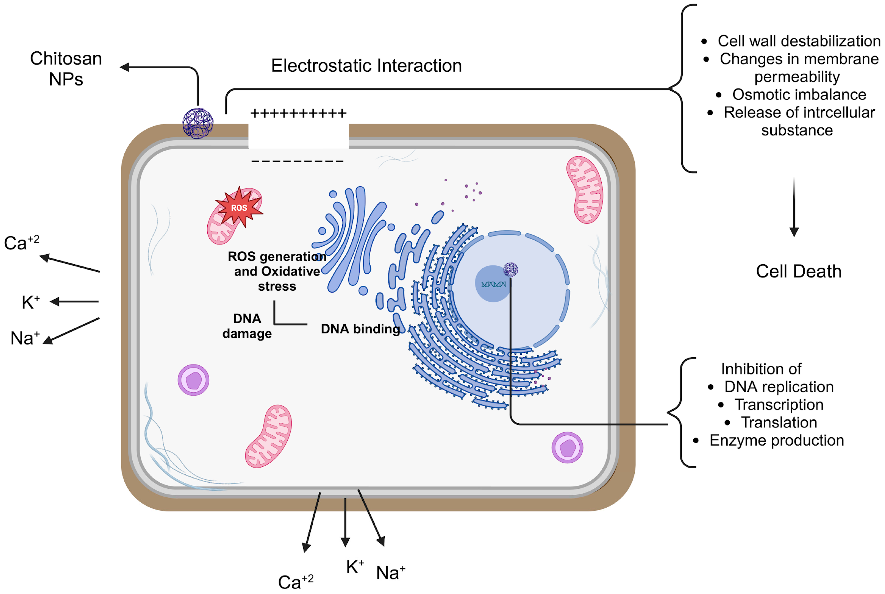 Nanomaterials 15 00126 g003