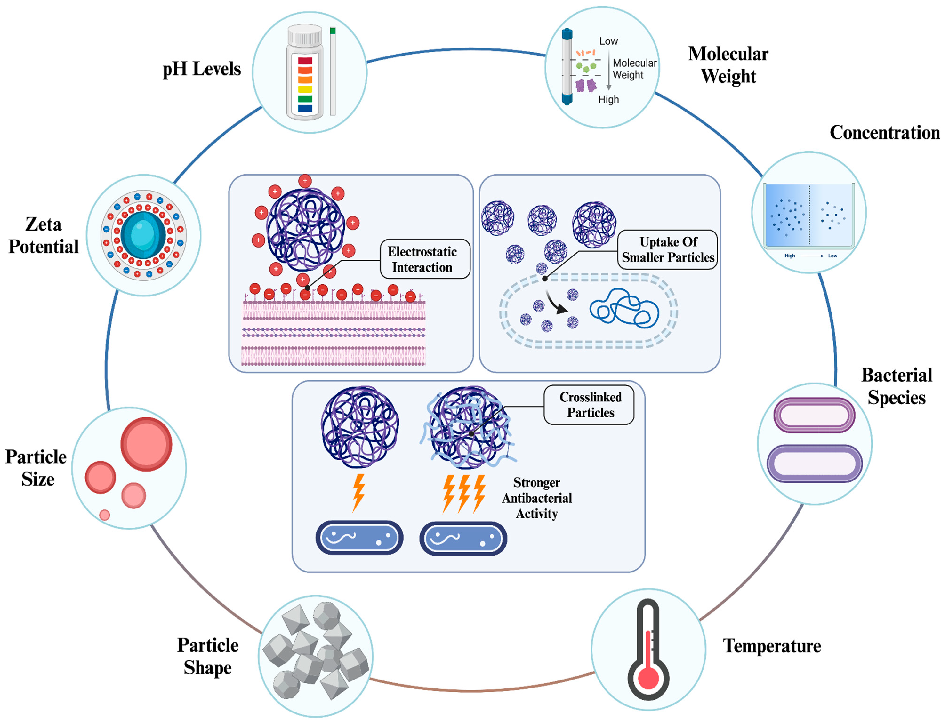 Nanomaterials 15 00126 g004