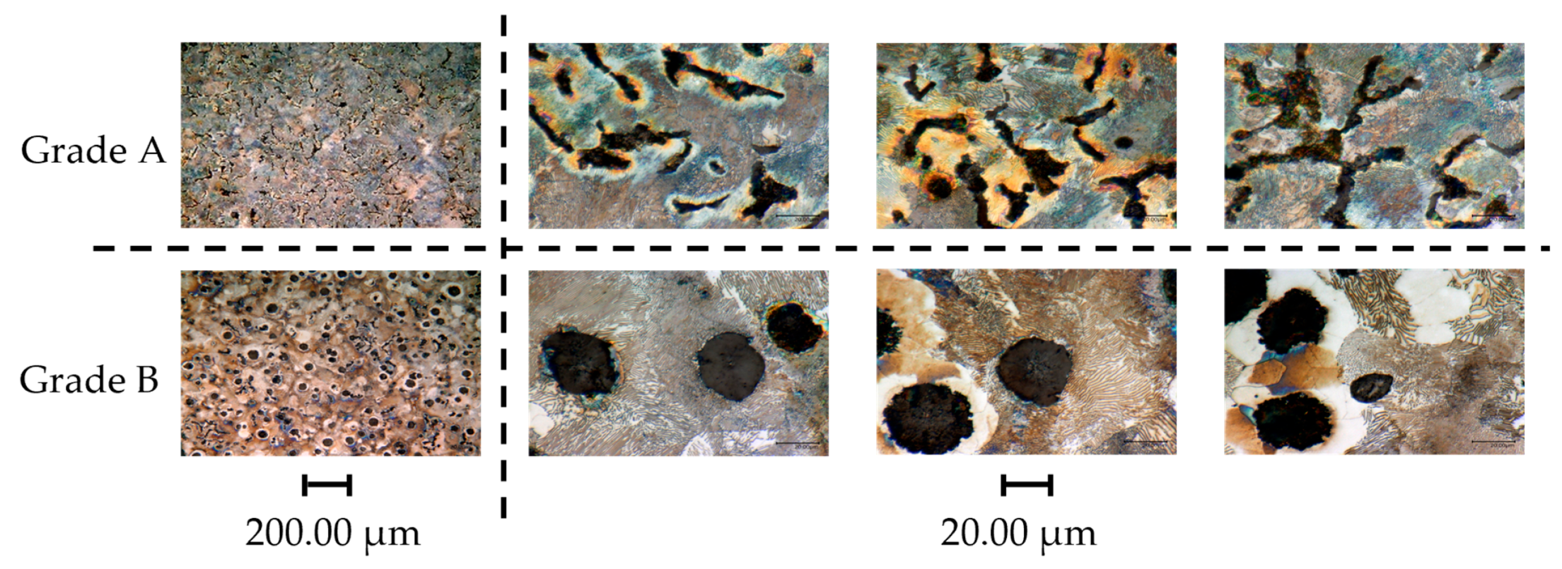 Nanomaterials 15 00130 g001
