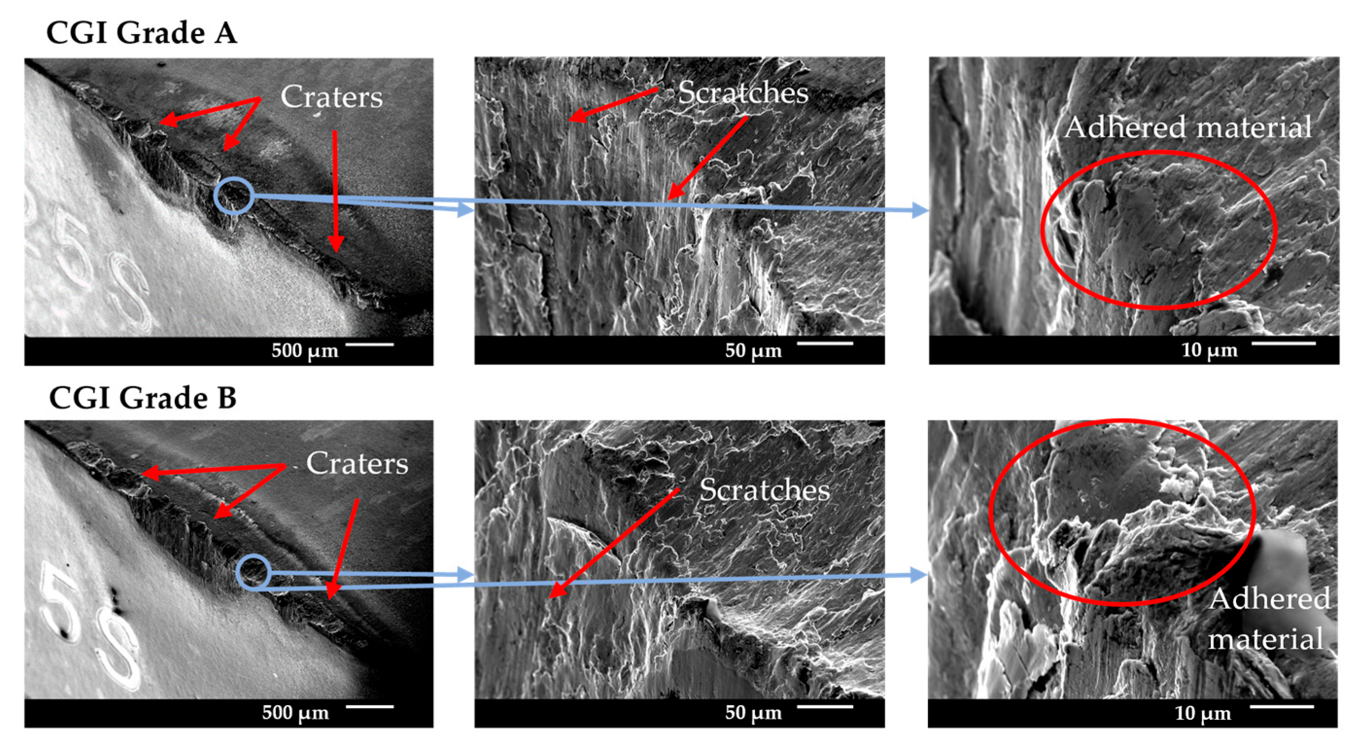 Nanomaterials 15 00130 g012