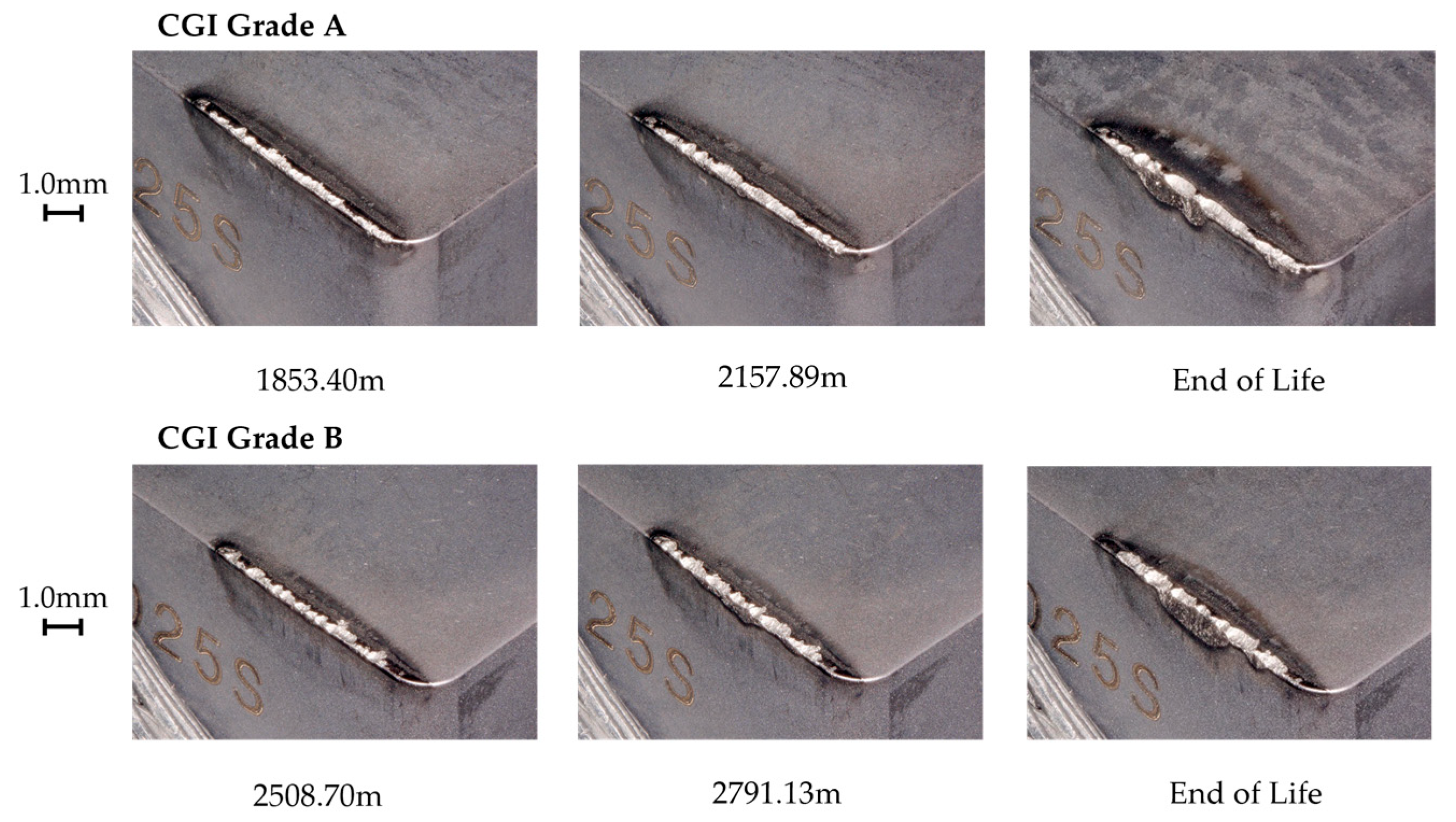 Nanomaterials 15 00130 g013