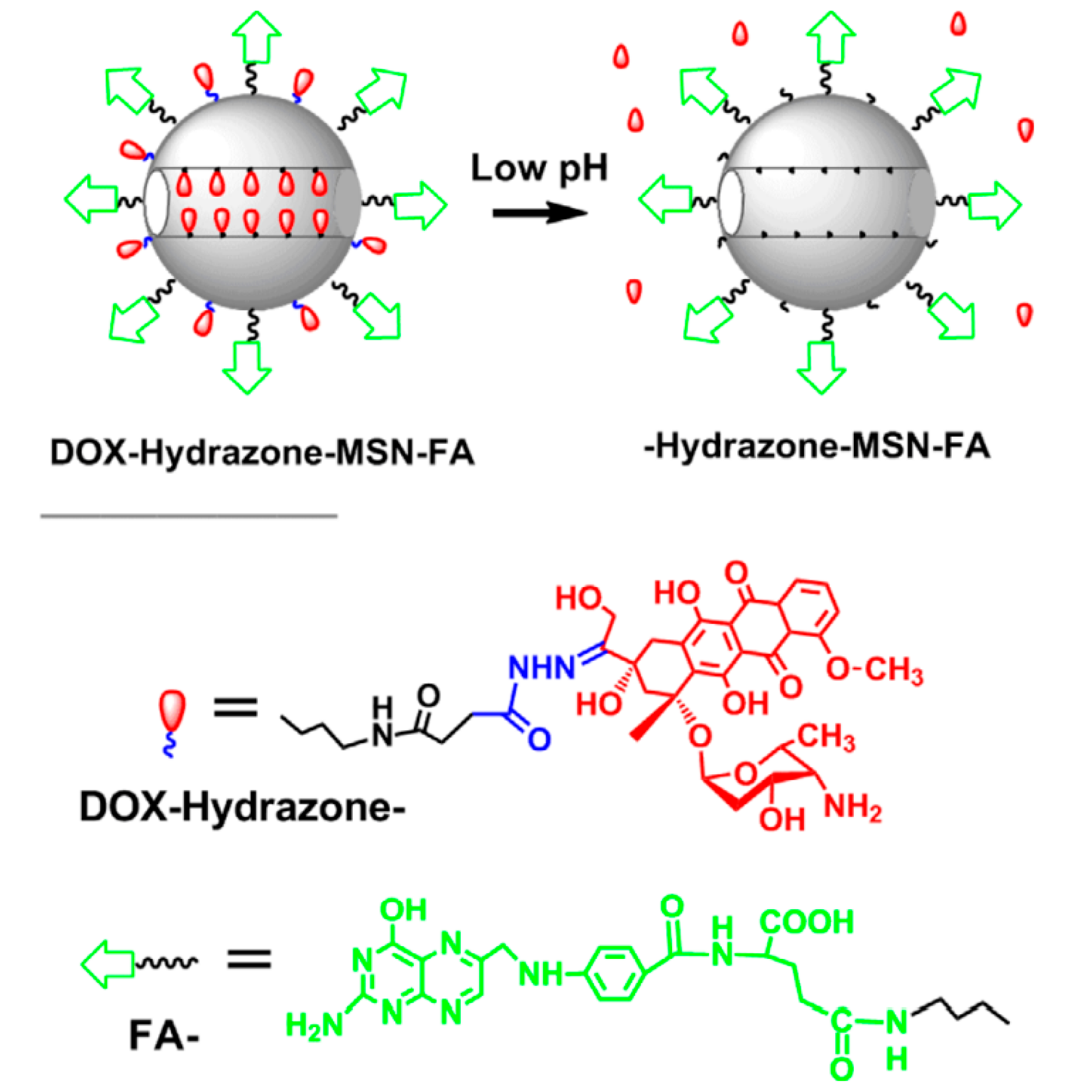 Nanomaterials 15 00133 g011