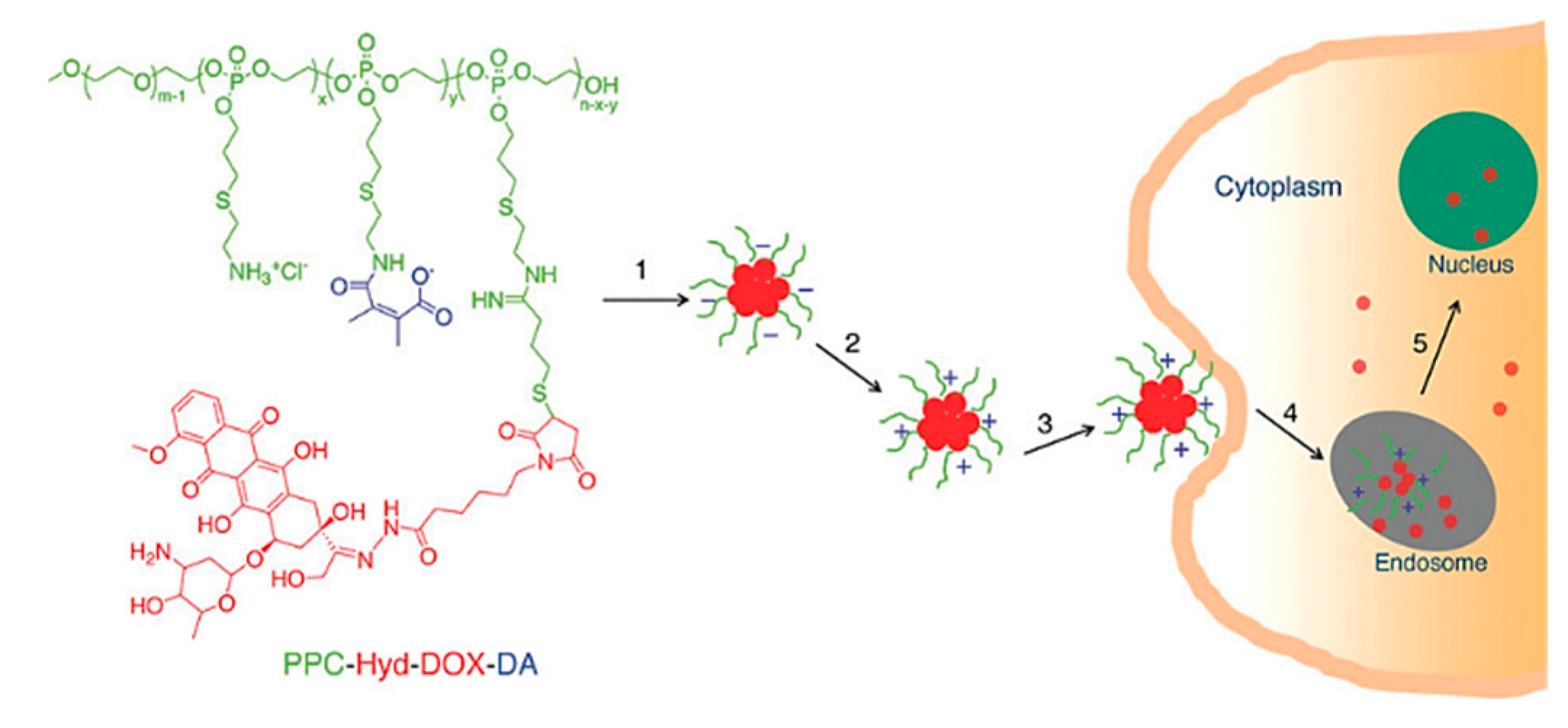Nanomaterials 15 00133 g013