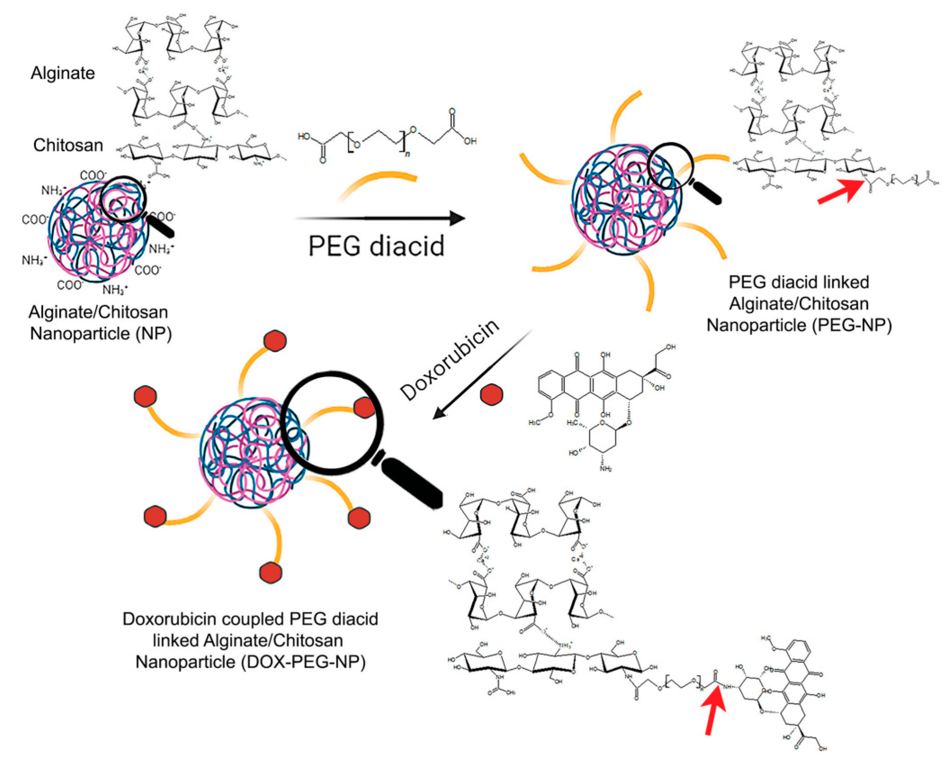 Nanomaterials 15 00133 g015