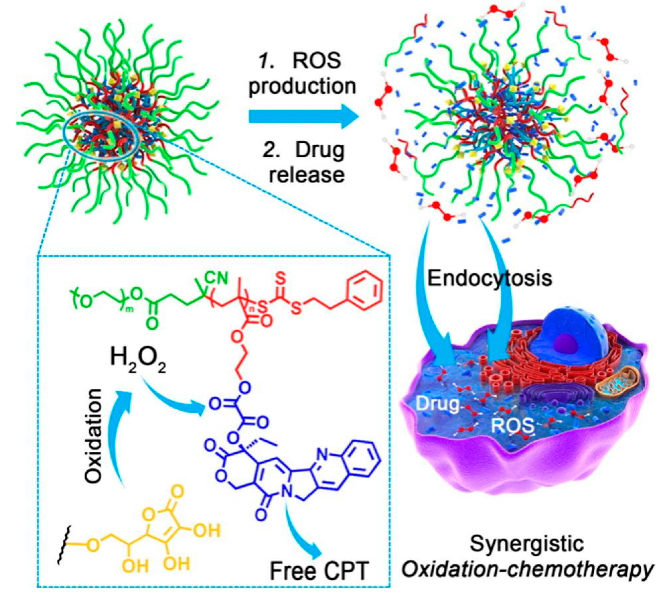 Nanomaterials 15 00133 g017