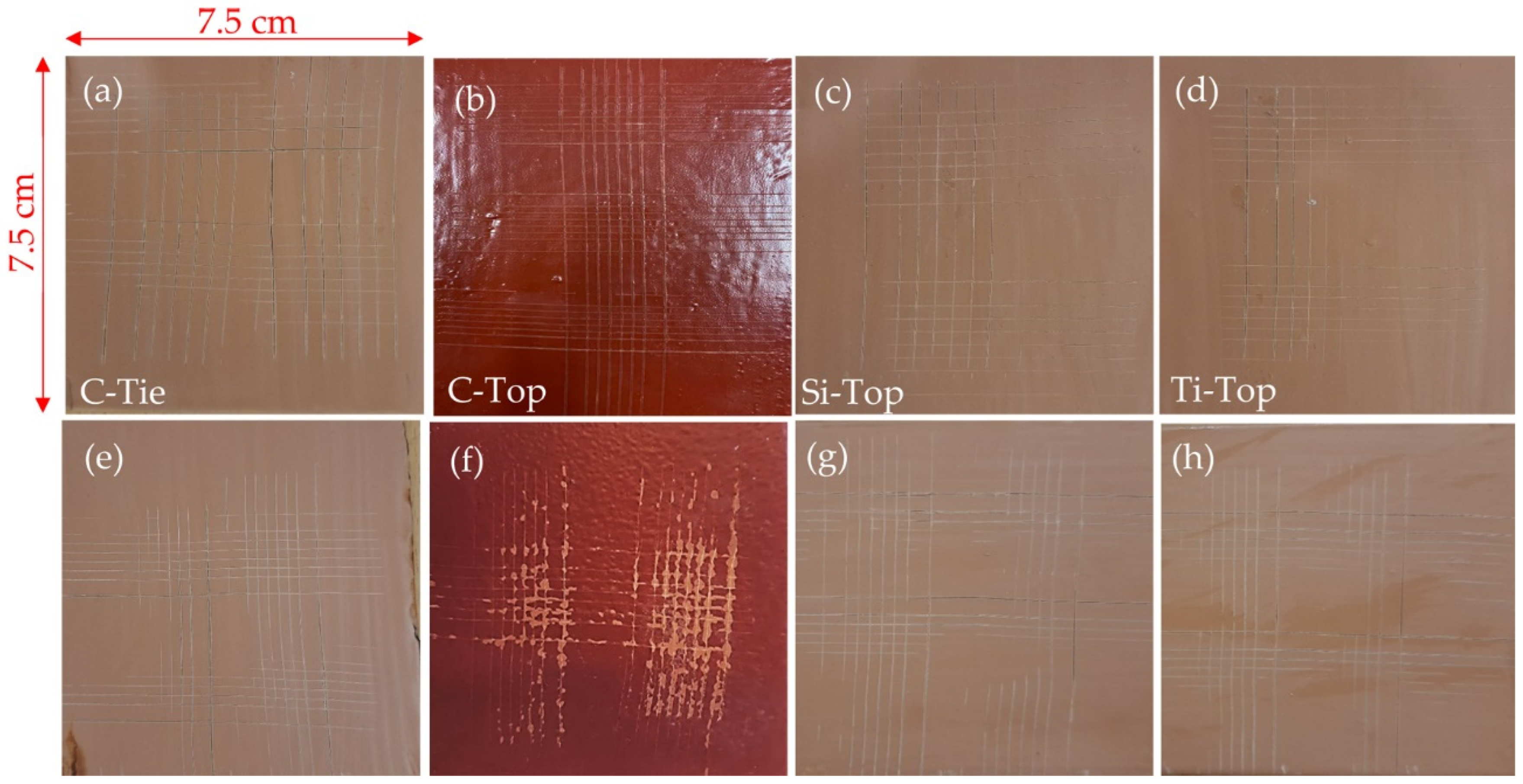 Nanomaterials 15 00150 g011