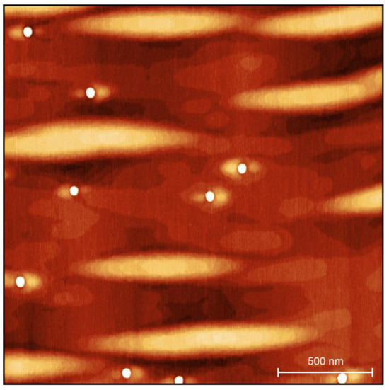 Nanomaterials 15 00157 g0a2