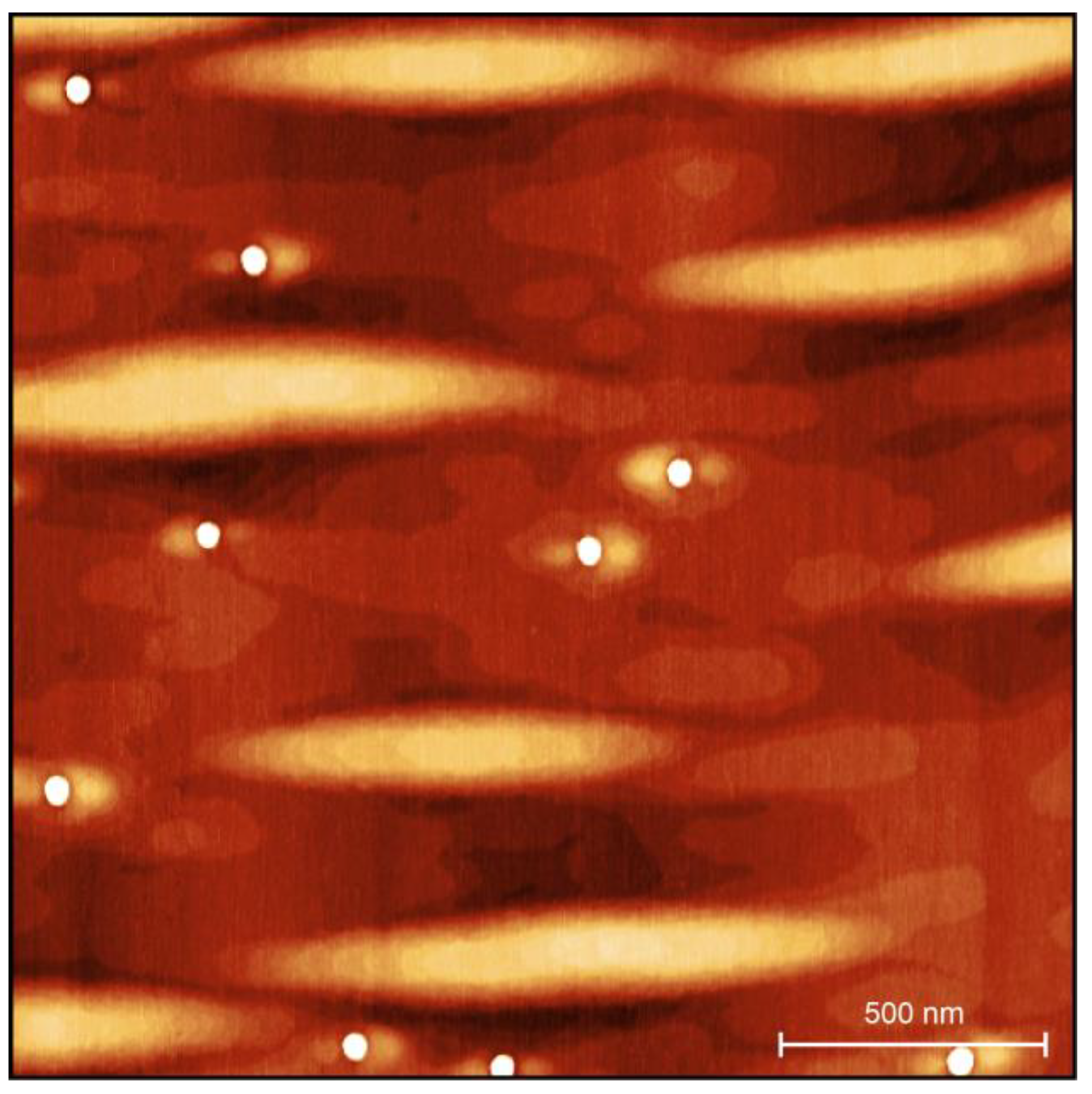 Nanomaterials 15 00157 g0a2 Nanomaterials 15 00157 g0a2