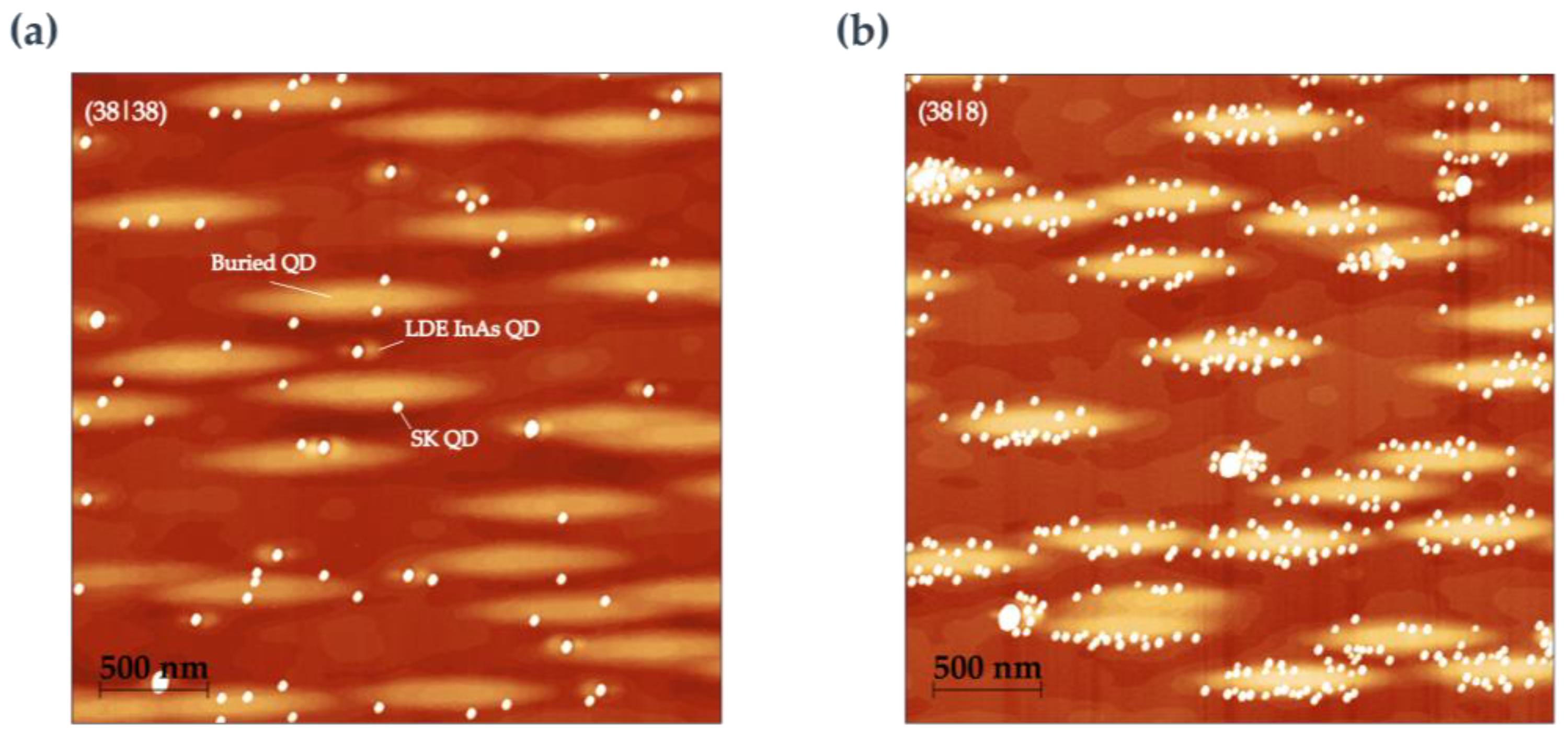 Nanomaterials 15 00157 g0a3 Nanomaterials 15 00157 g0a3