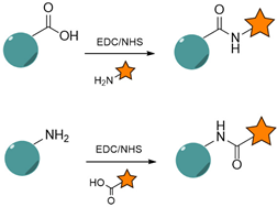 Nanomaterials 15 00158 i001 Nanomaterials 15 00158 i001