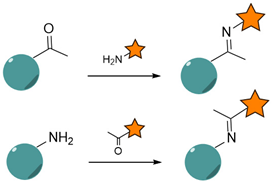 Nanomaterials 15 00158 i002 Nanomaterials 15 00158 i002