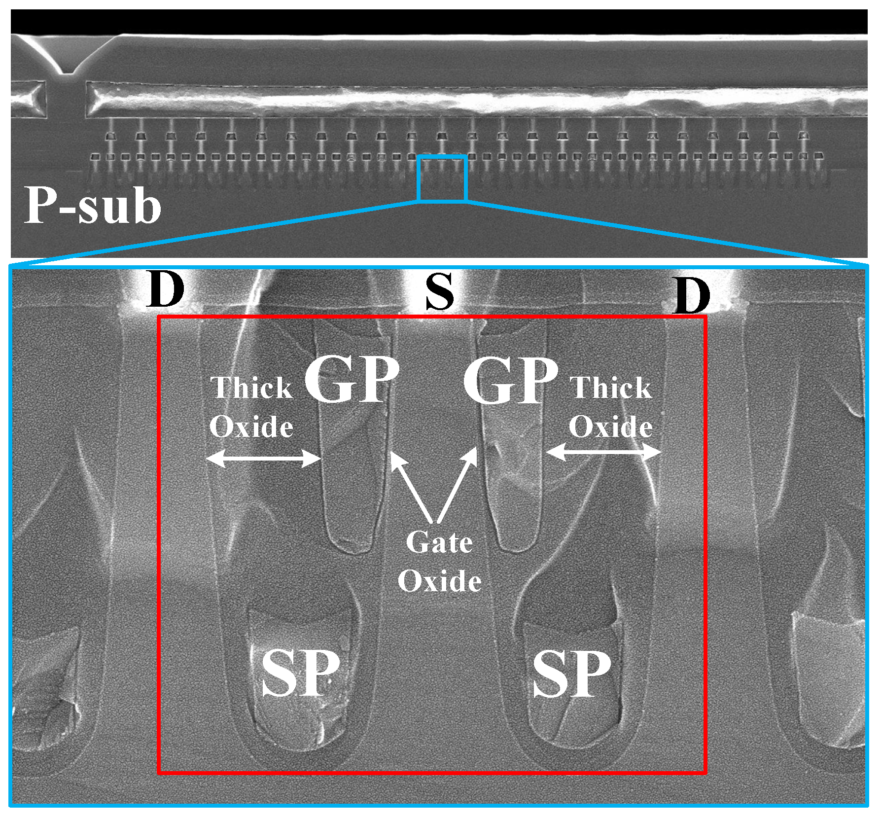 Nanomaterials 15 00172 g005
