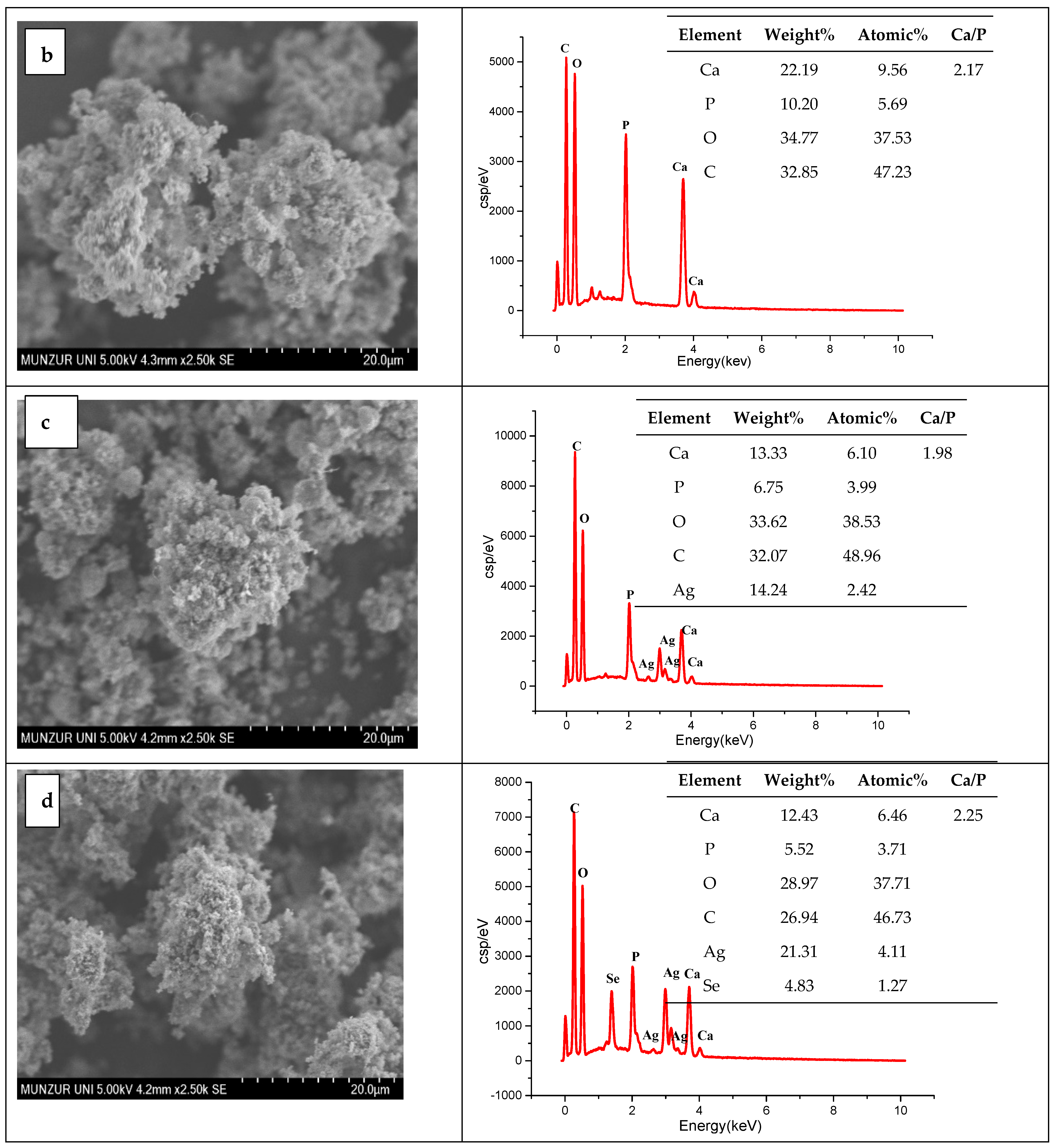Nanomaterials 15 00179 g002b