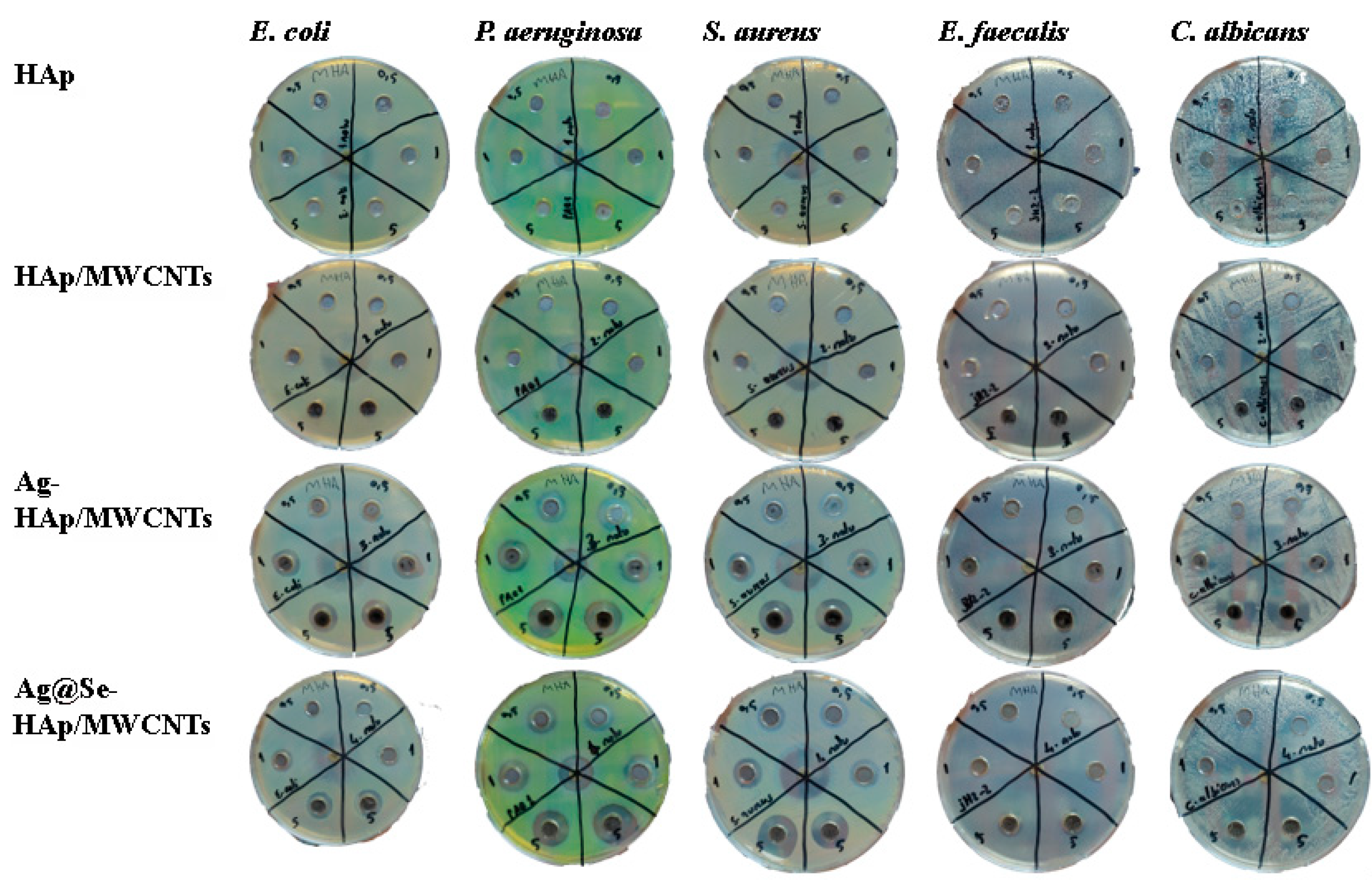 Nanomaterials 15 00179 g007