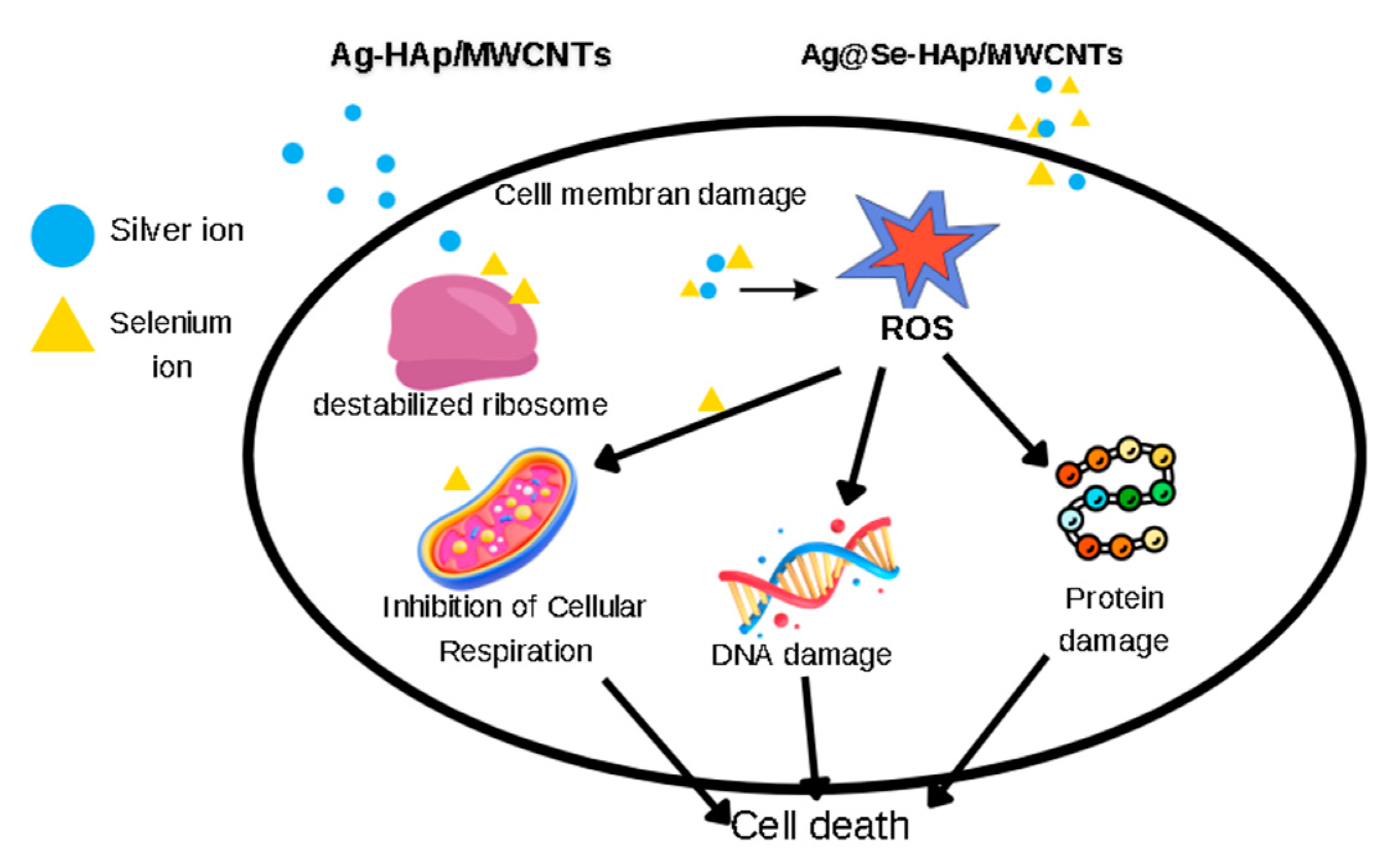 Nanomaterials 15 00179 g008
