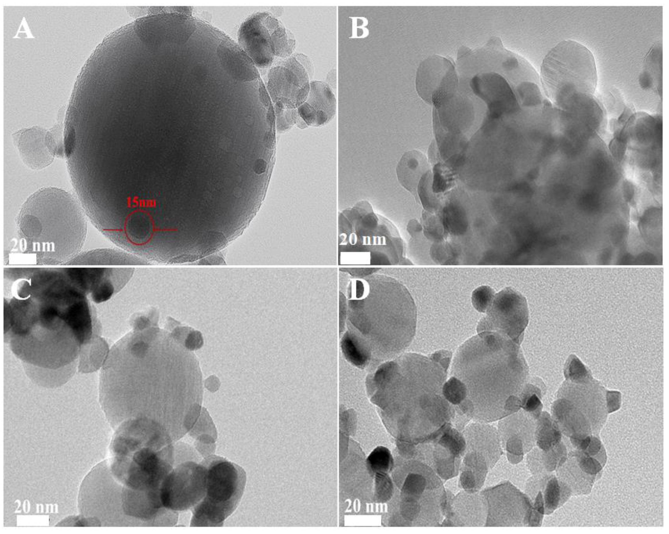 Nanomaterials 15 00197 g005