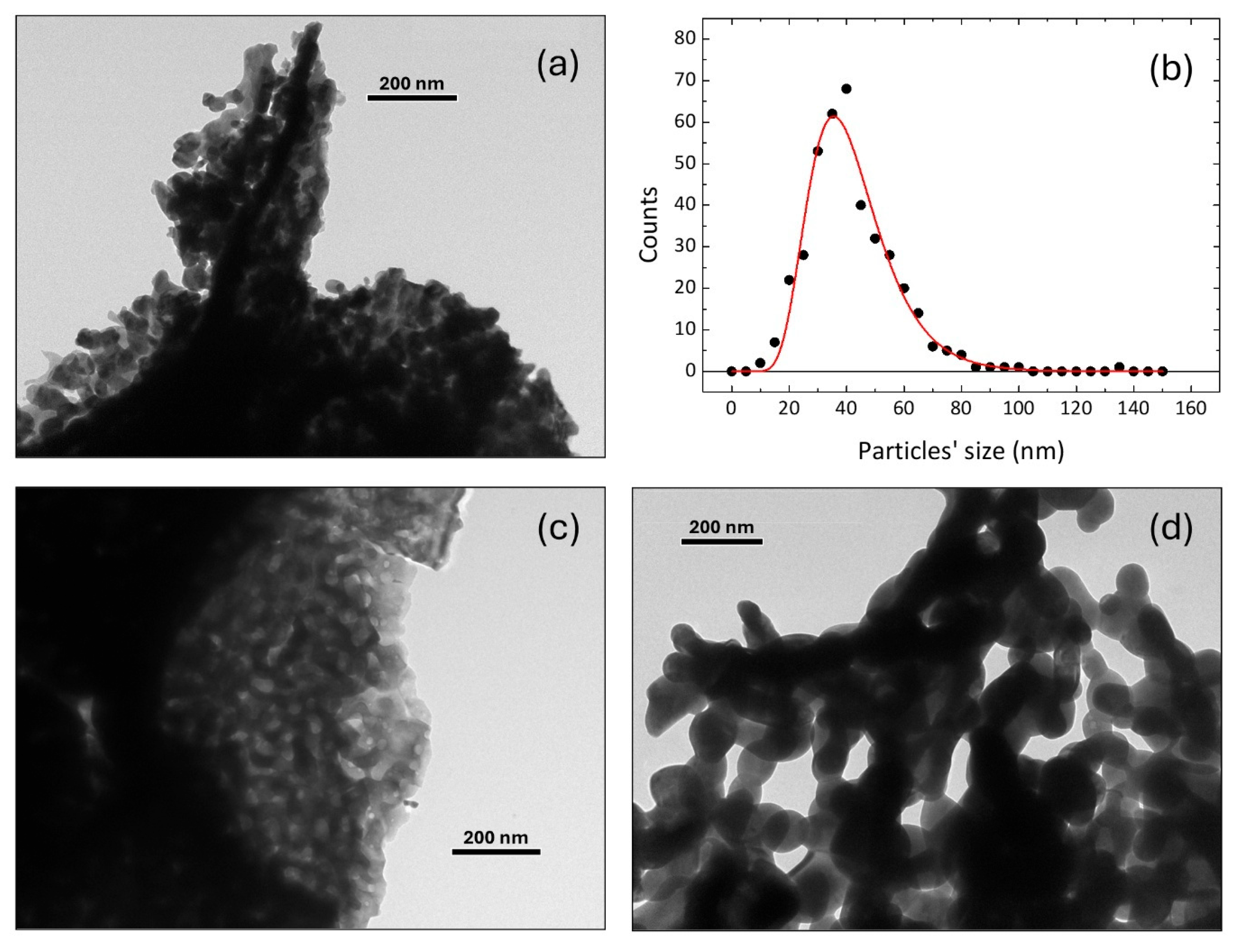 Nanomaterials 15 00203 g002 Nanomaterials 15 00203 g002