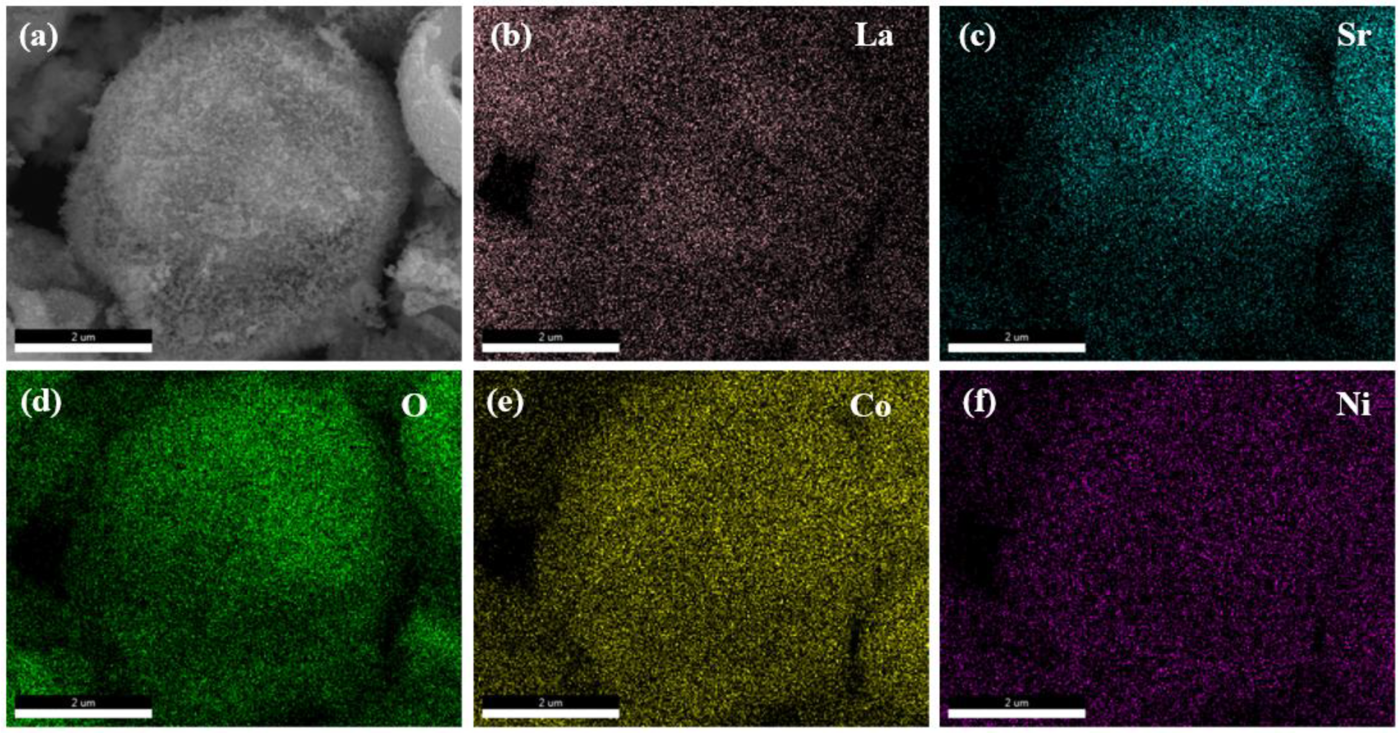 Nanomaterials 15 00210 g005