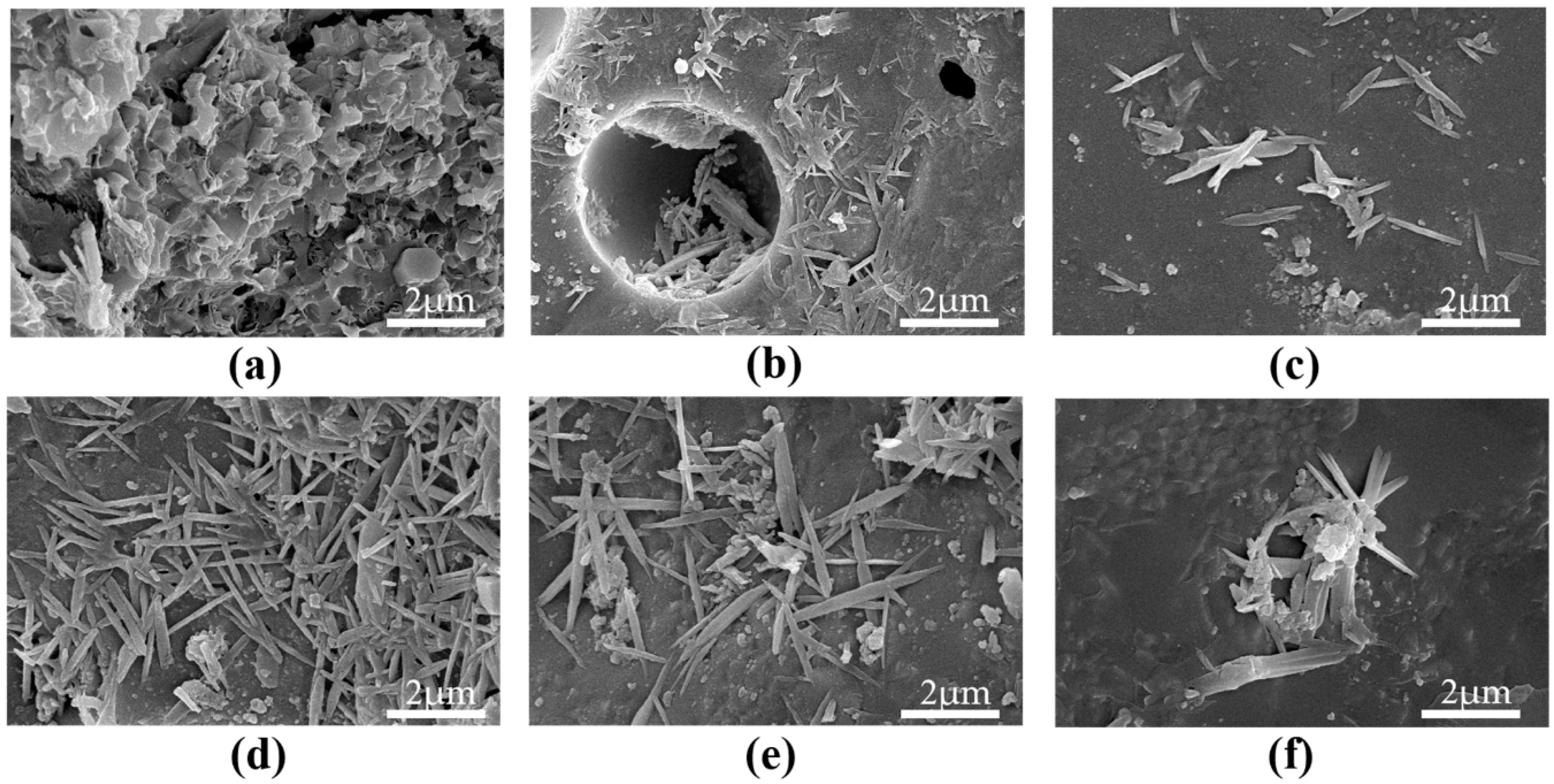 Nanomaterials 15 00216 g006