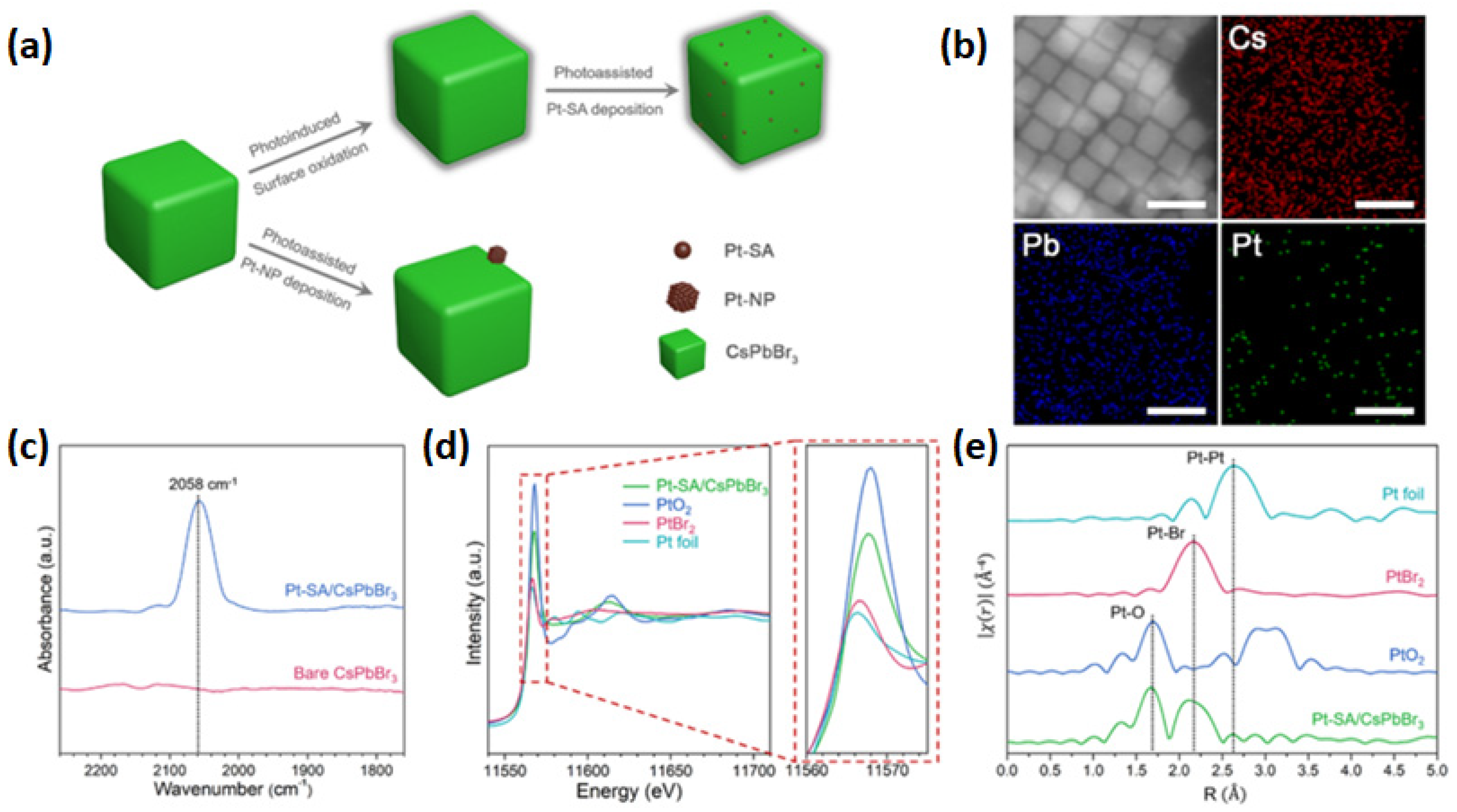 Nanomaterials 15 00226 g008
