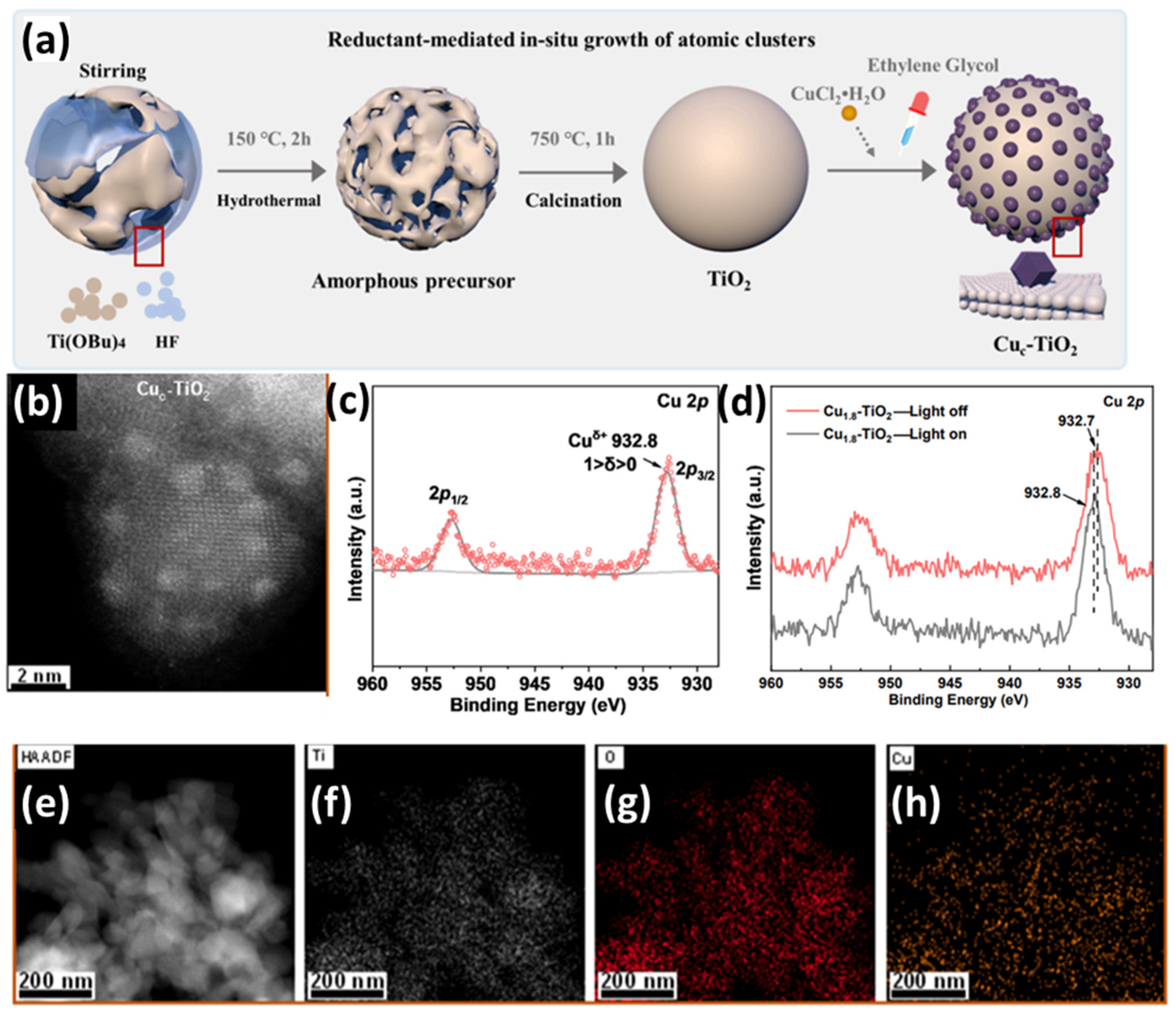 Nanomaterials 15 00226 g011