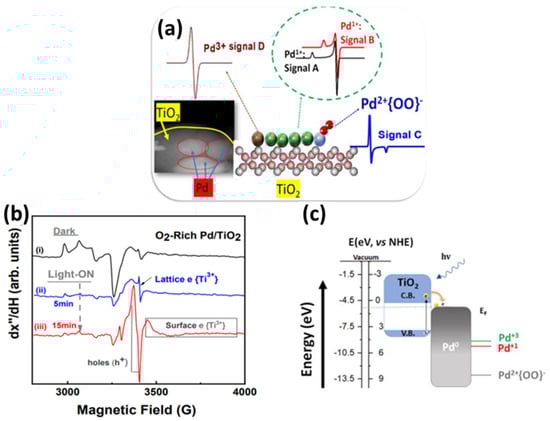 Nanomaterials 15 00226 g012